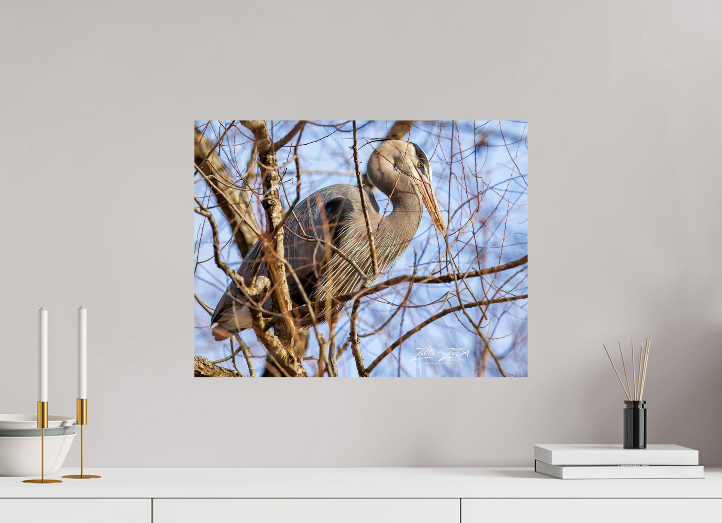 20.7 x 16″, Photo Print On Fuji Crystal DP II Zillas Zoom Image 363