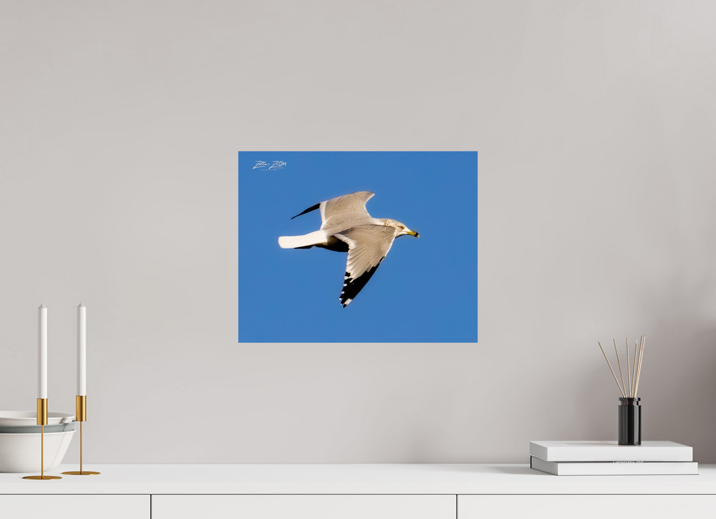 15 x 12″, Photo Print On Fuji Crystal DP II Zillas Zoom Image 266