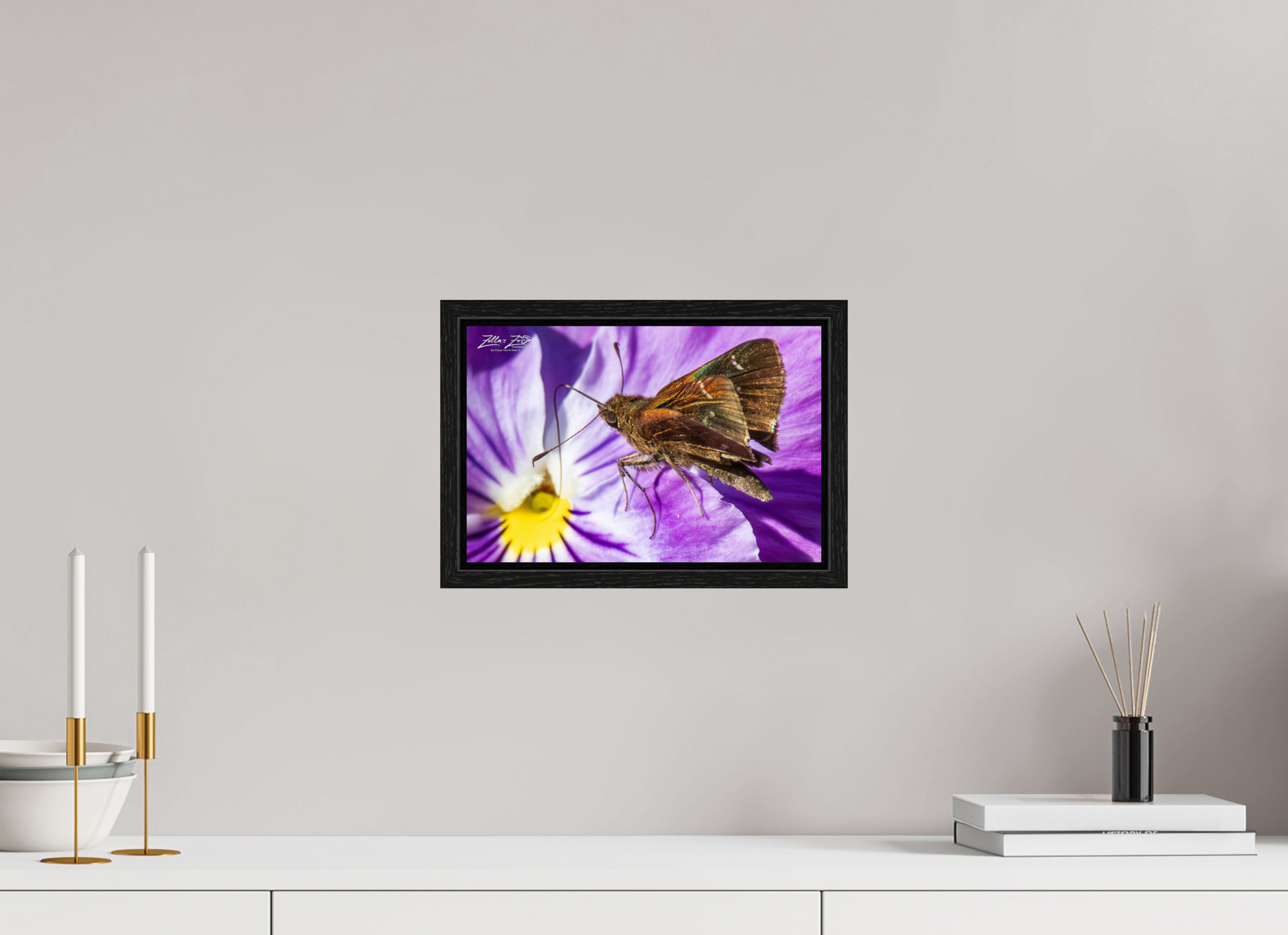 12 x 8″, Floater Frame Zillas Zoom Image 59