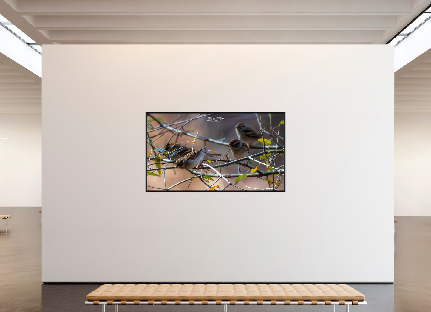 80 x 45″, Floater Frame Zillas Zoom Image 304