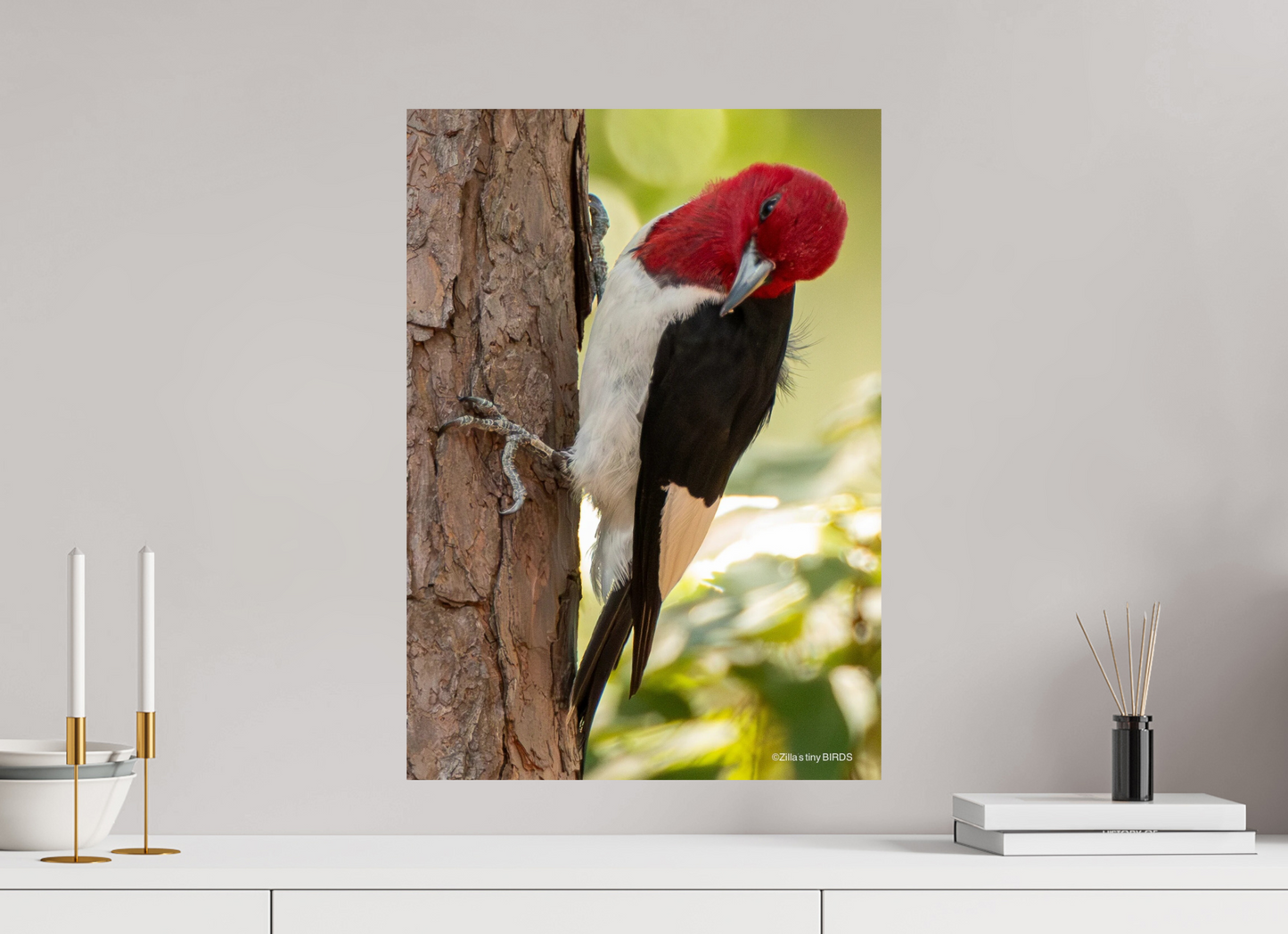 ISO A2 (42 x 59,4 cm), Photo Print On Fuji Crystal DP II Zillas Zoom Image 516