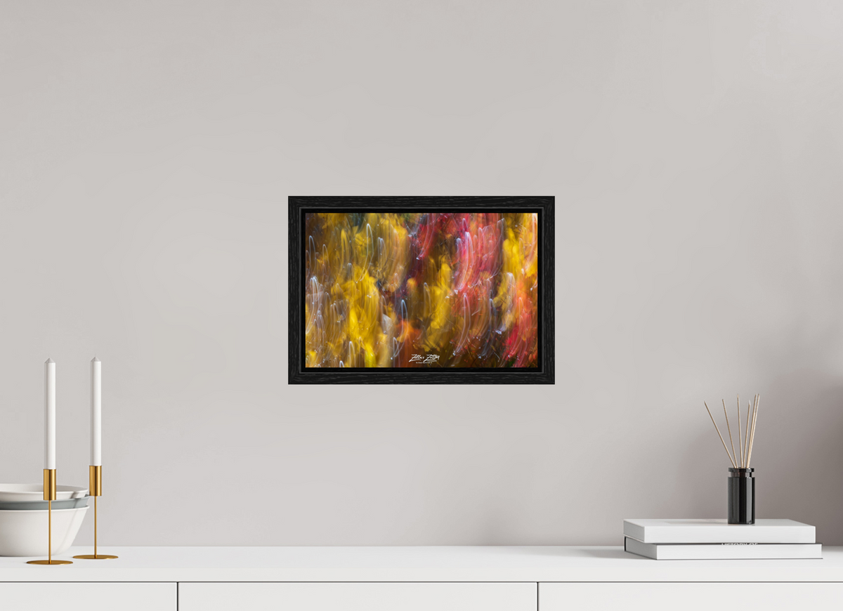 12 x 8″, Floater Frame Zillas Zoom Image 13