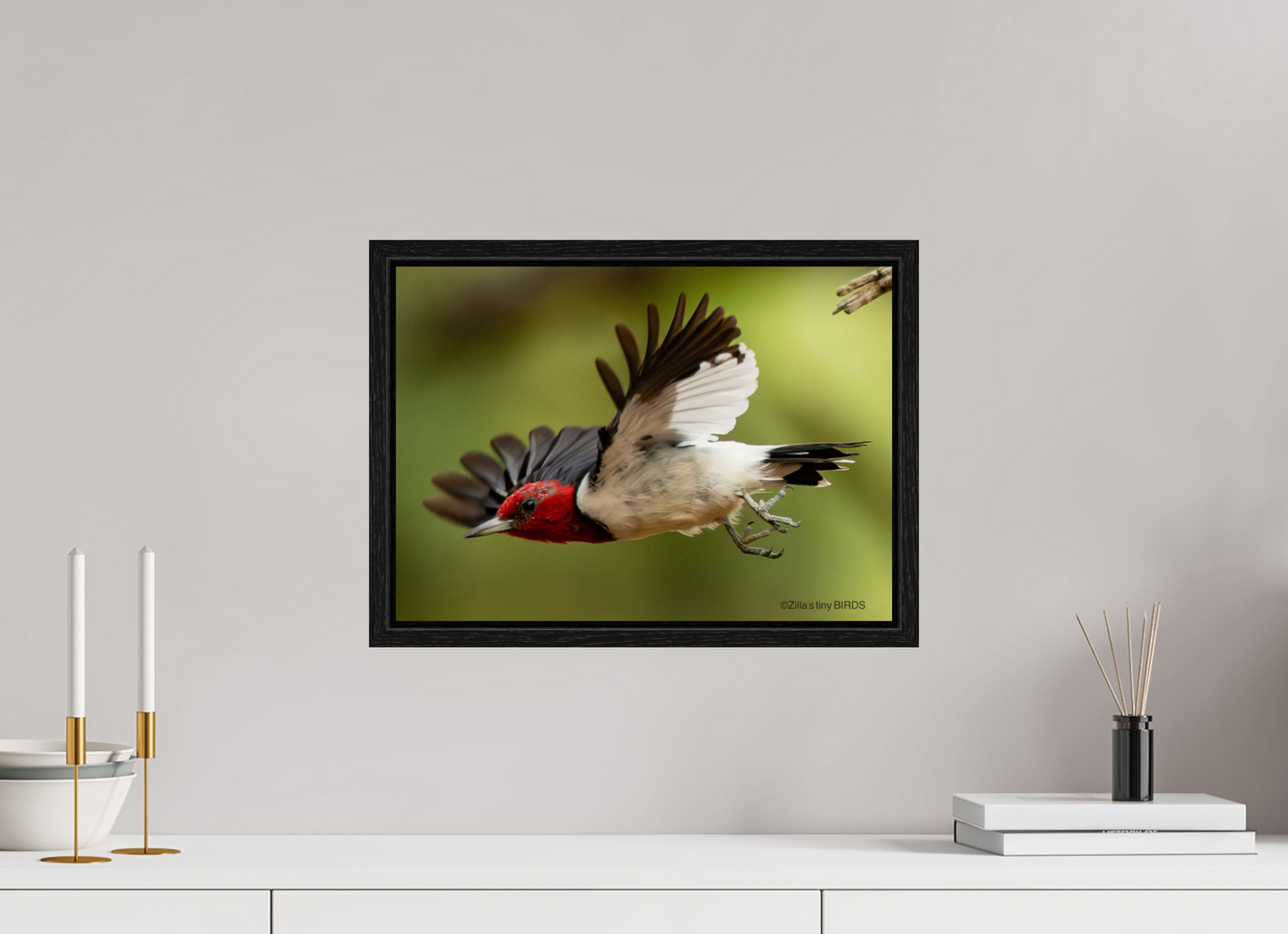 16.8 x 12″, Floater Frame Zillas Zoom Image 274
