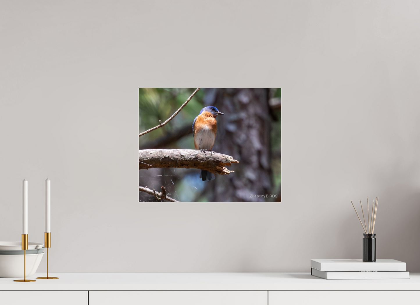 15 x 12″, Photo Print Under Acrylic Glass Zillas Zoom Image 368