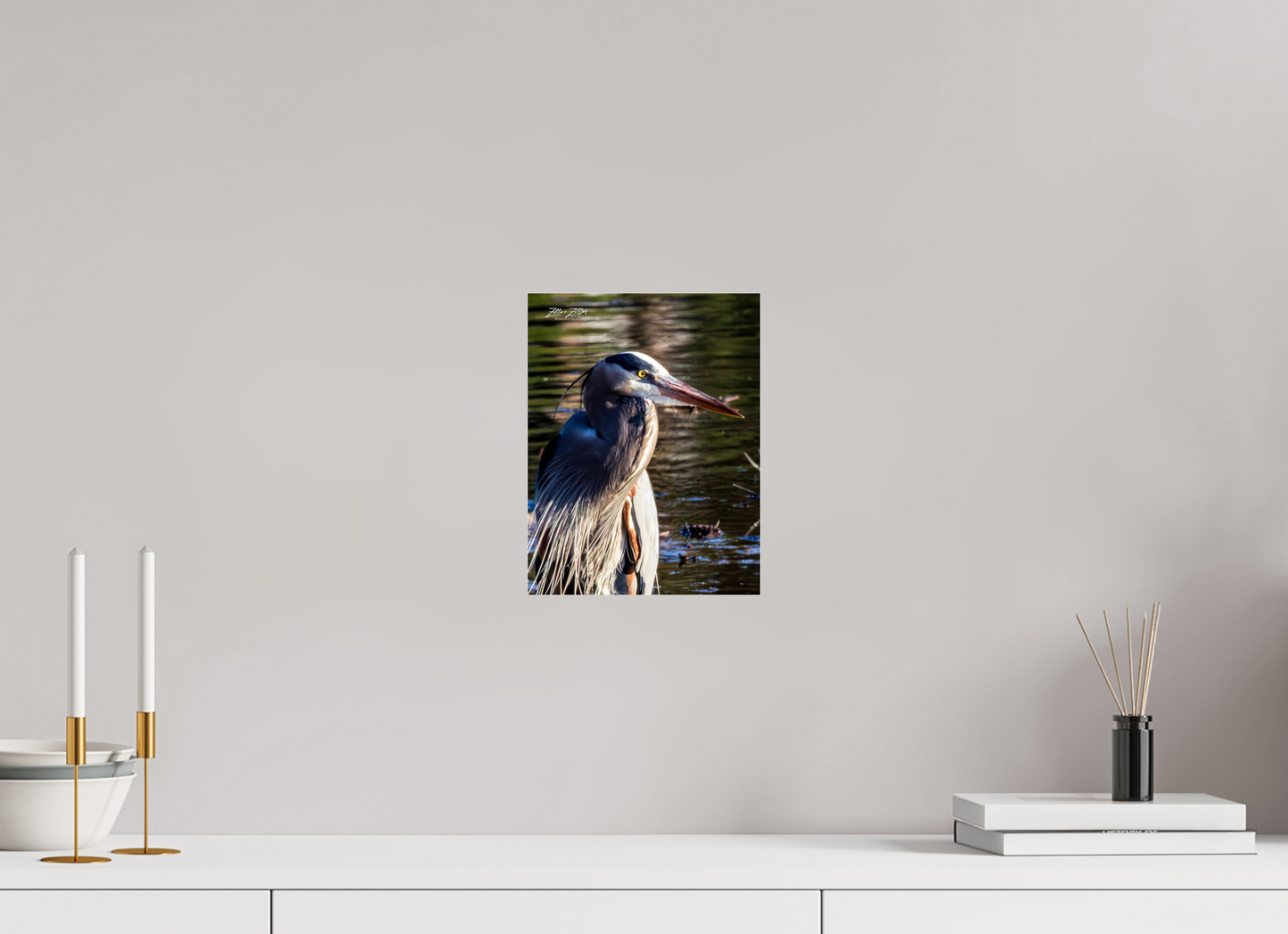 8 x 10.4″, Photo Print Under Acrylic Glass Zillas Zoom Image 409