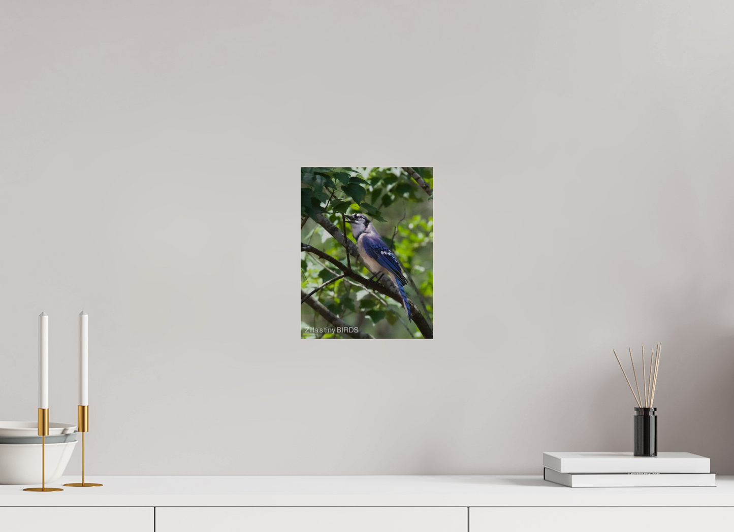 8 x 10.4″, Photo Print Under Acrylic Glass Zillas Zoom Image 469