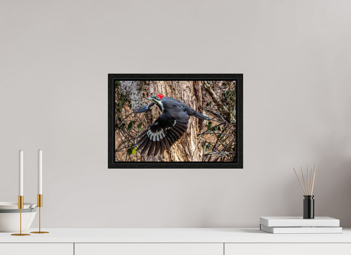 15 x 10″, Floater Frame Zillas Zoom Image 285