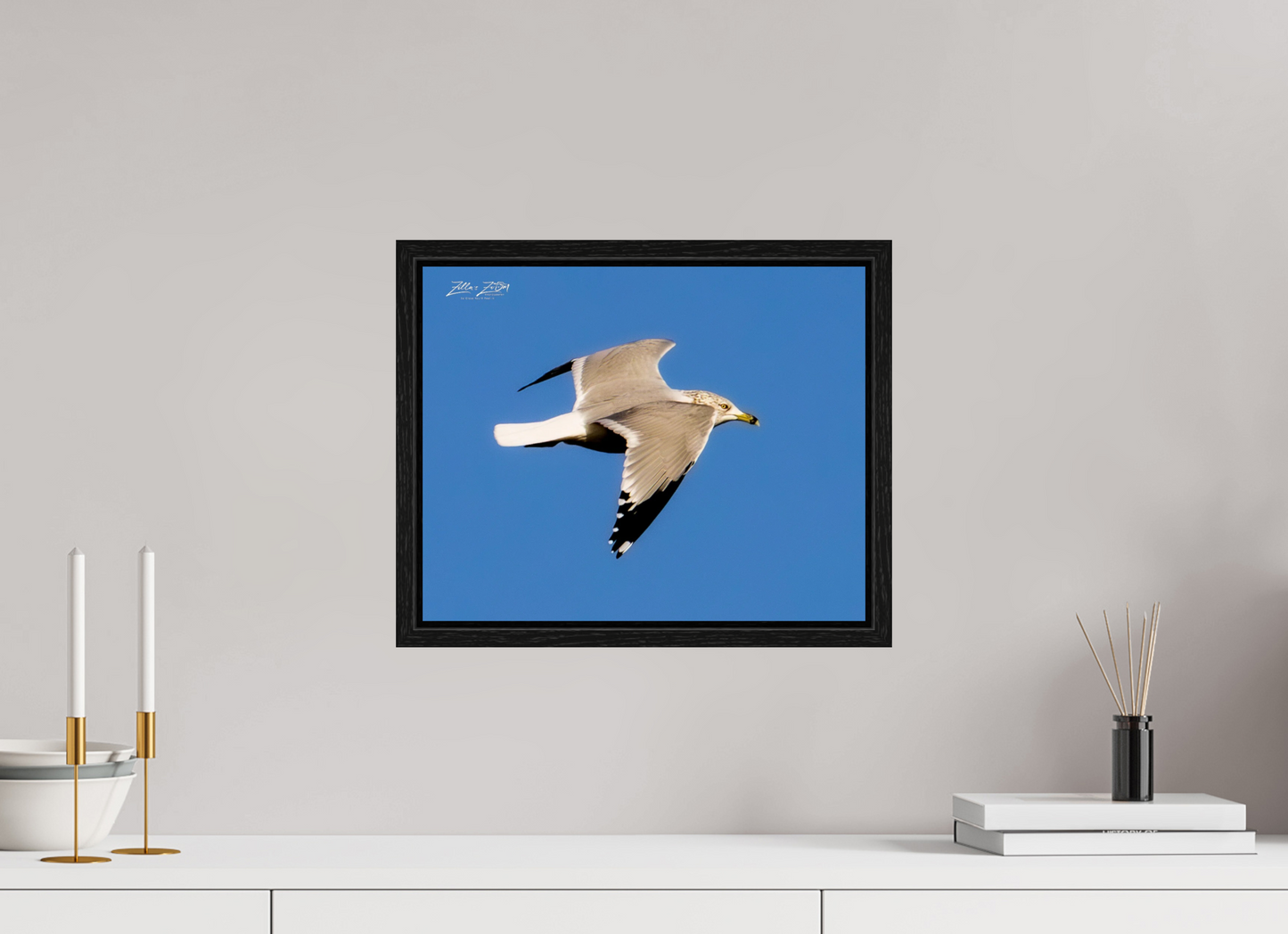 15 x 12″, Floater Frame Zillas Zoom Image 266