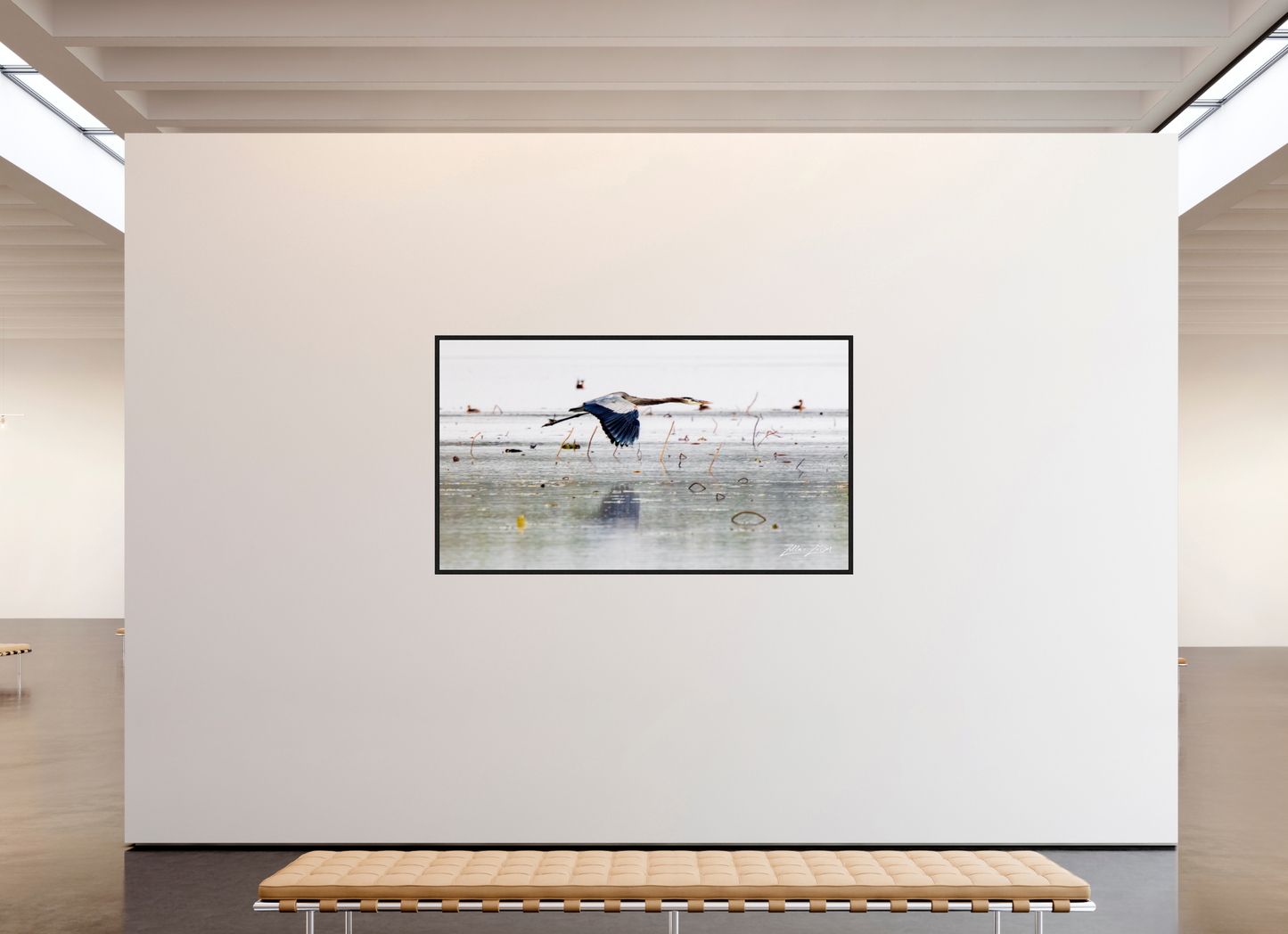 80 x 45″, Floater Frame Zillas Zoom Image 321