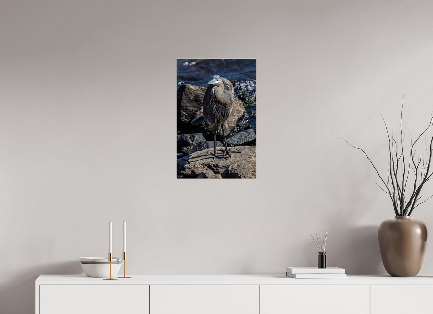 16 x 24″, Photo Print Under Acrylic Glass Zillas Zoom Image 449