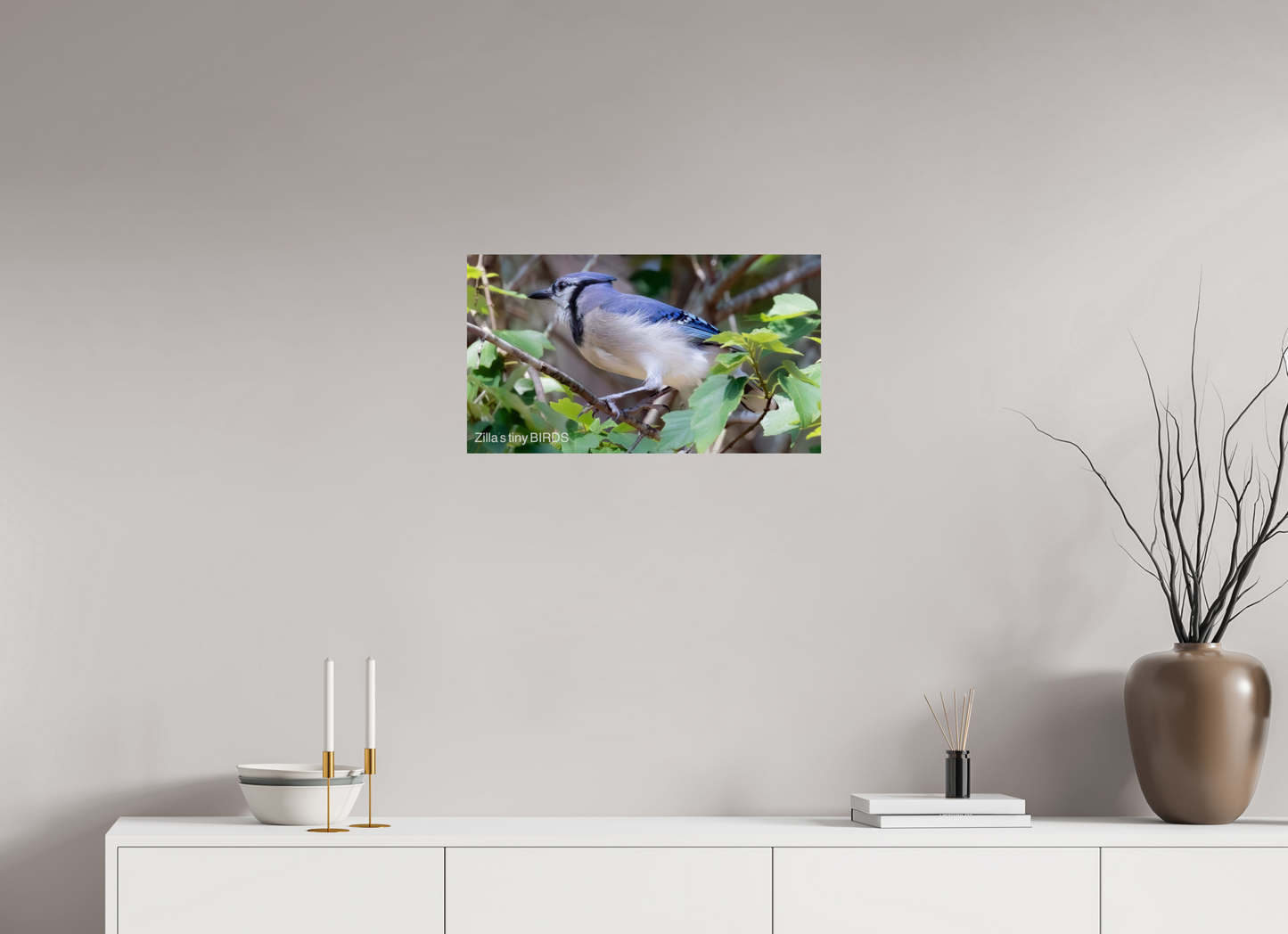 24 x 13.5″, Photo Print On Fuji Crystal DP II Zillas Zoom Image 377