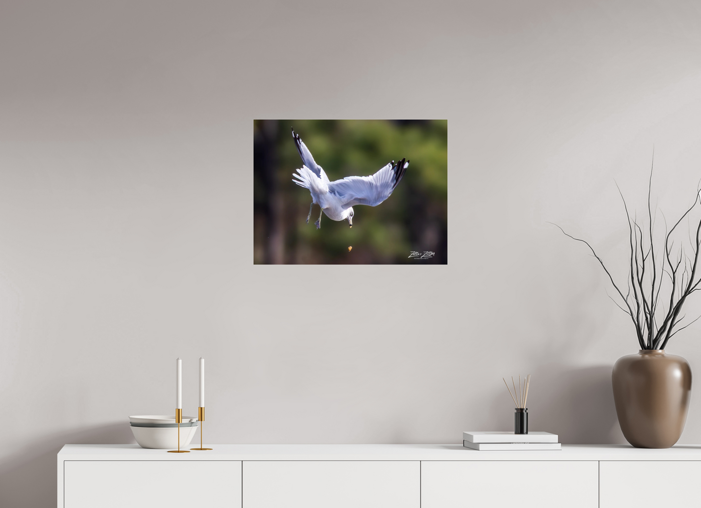 24 x 18″, Photo Print Under Acrylic Glass Zillas Zoom Image 268