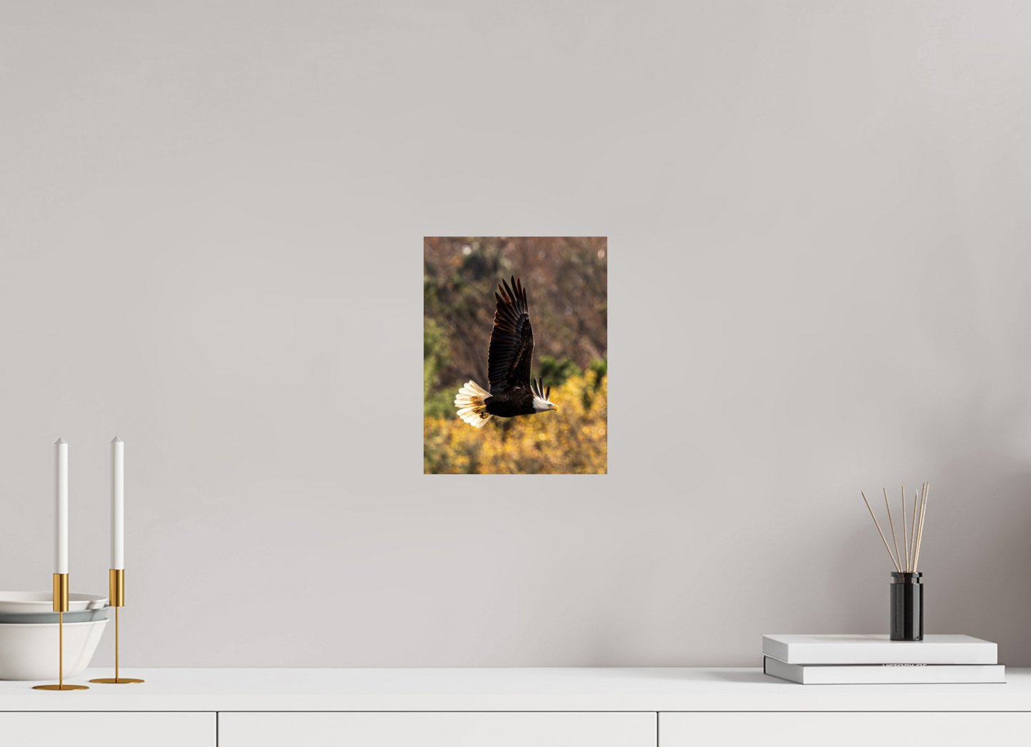 8 x 10.4″, Photo Print On Fuji Crystal DP II Zillas Zoom Image 524