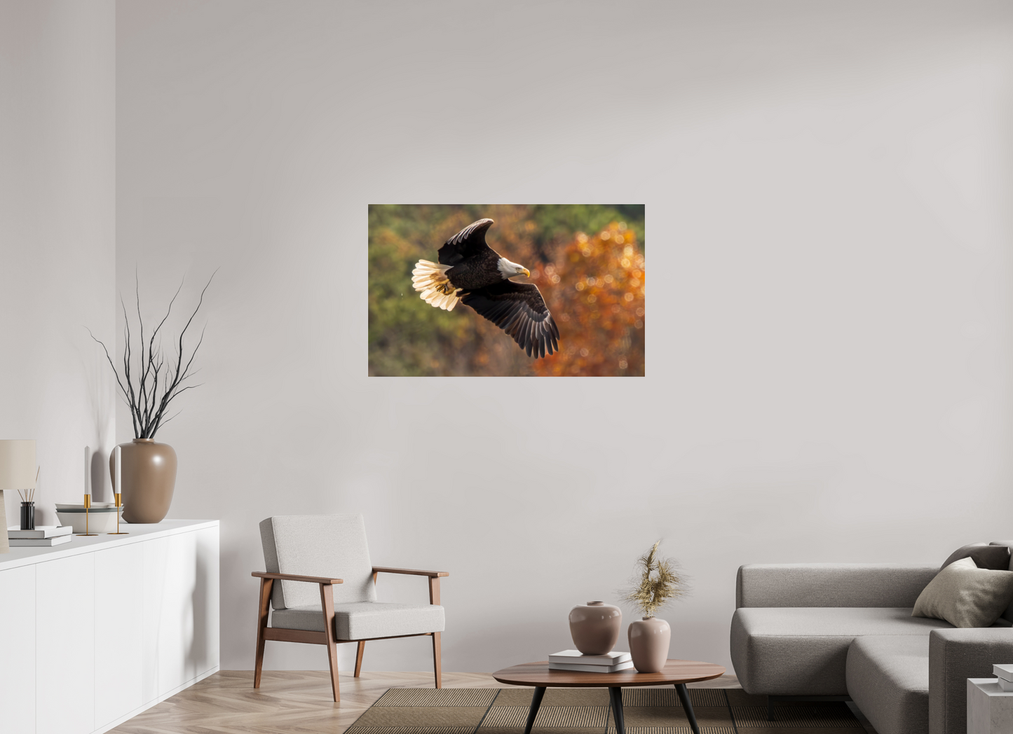 44.8 x 28″, Photo Print Under Acrylic Glass Zillas Zoom Image 396