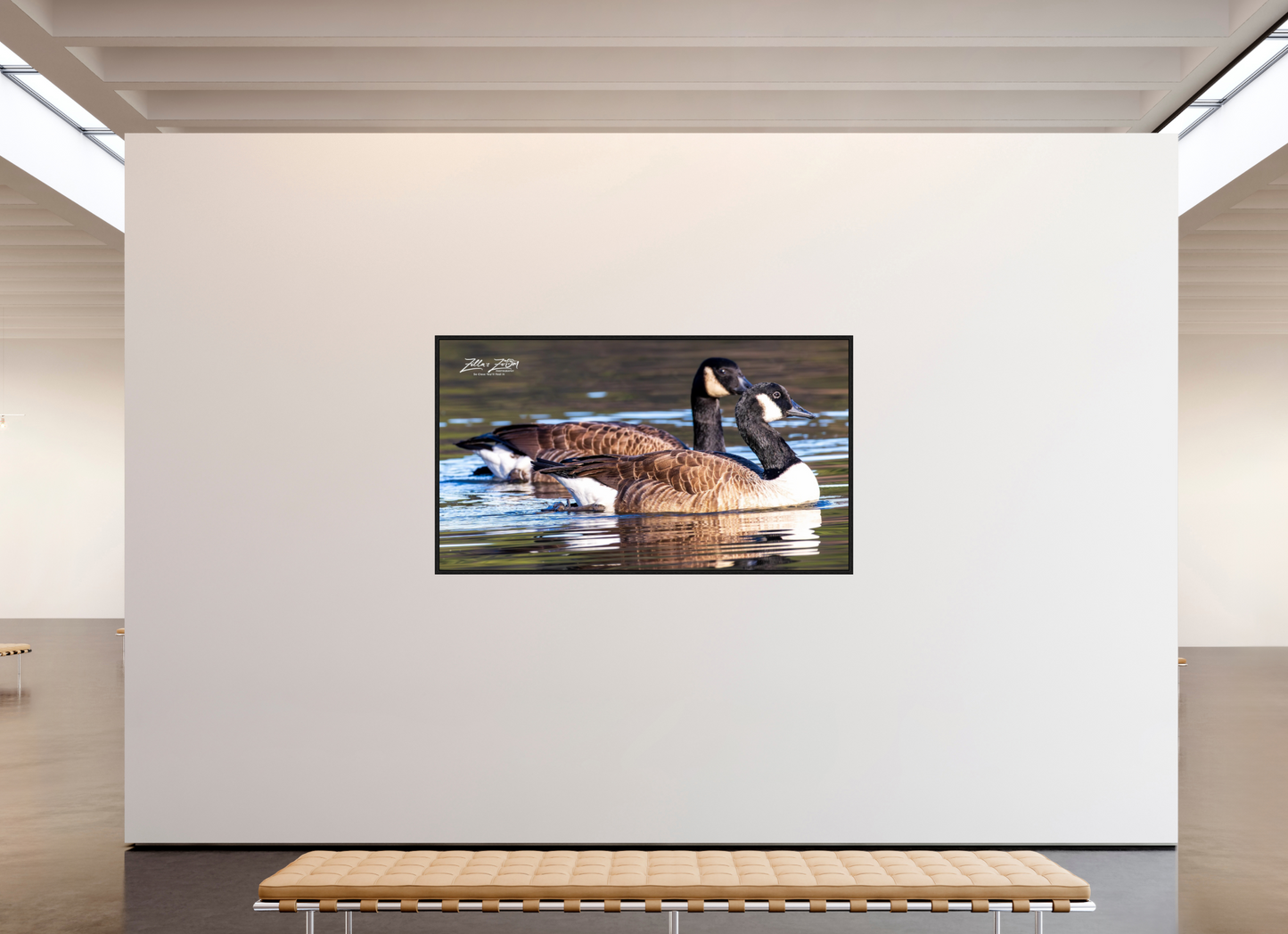 80 x 45″, Floater Frame Zillas Zoom Image 278