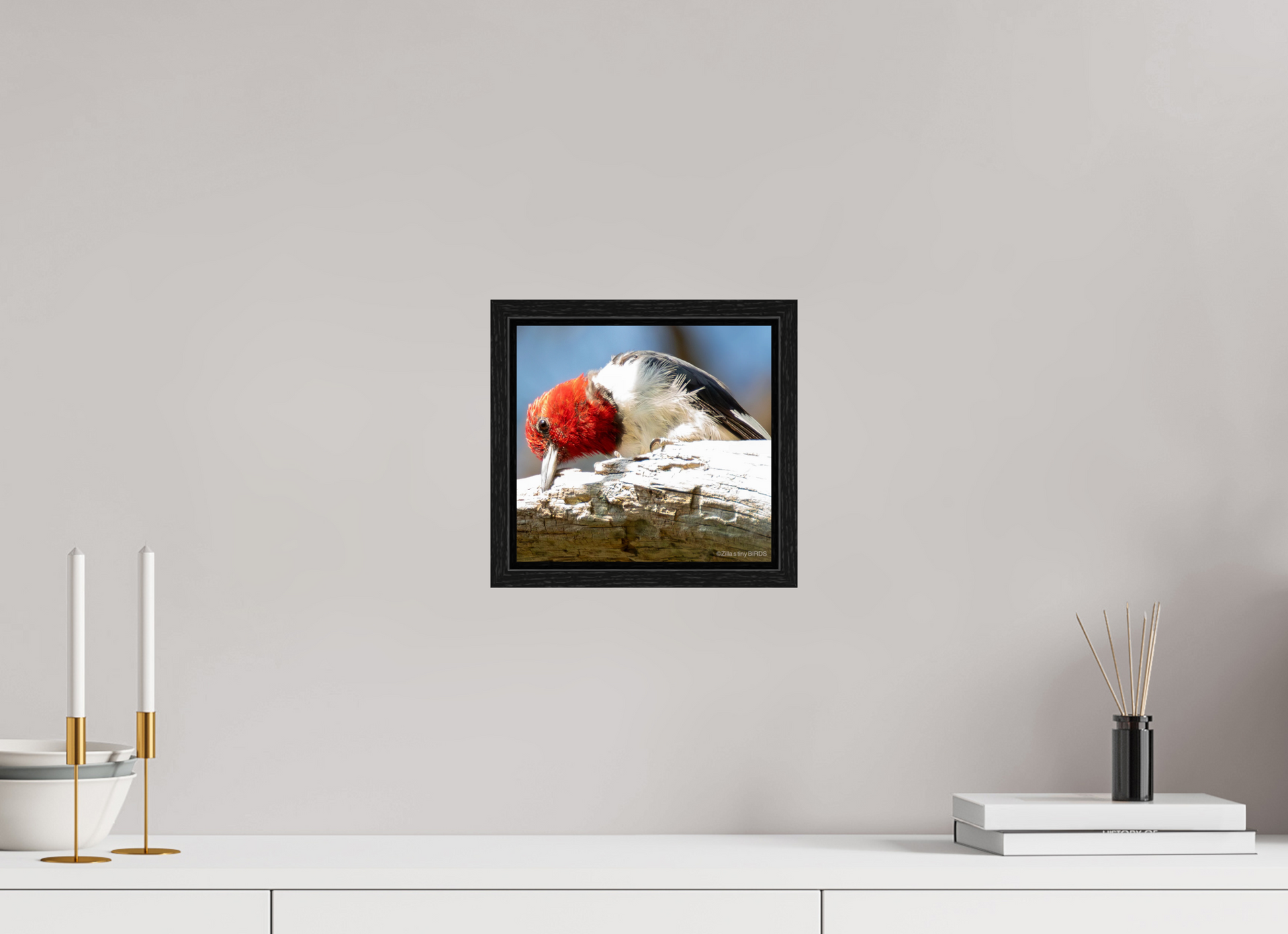 8.6 x 8″, Floater Frame Zillas Zoom Image 270