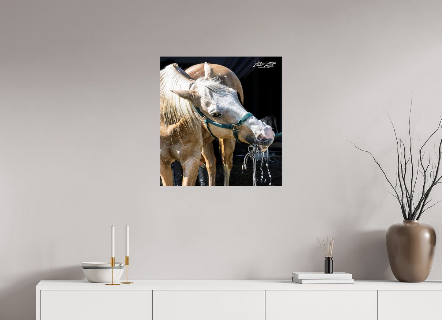 24 x 25.6″, Photo Print On Fuji Crystal DP II Zillas zoom image 148