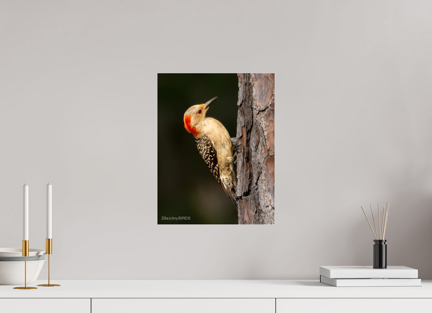 12 x 15.5″, Photo Print Under Acrylic Glass Zillas Zoom Image 514