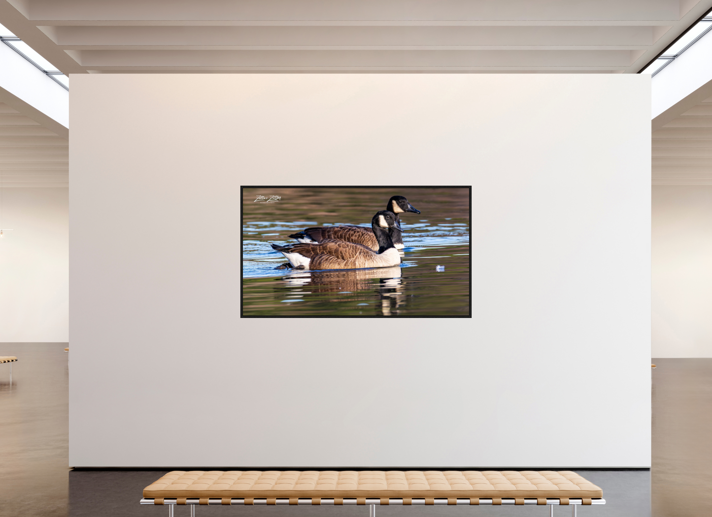 80 x 45″, Floater Frame Zillas Zoom Image 279