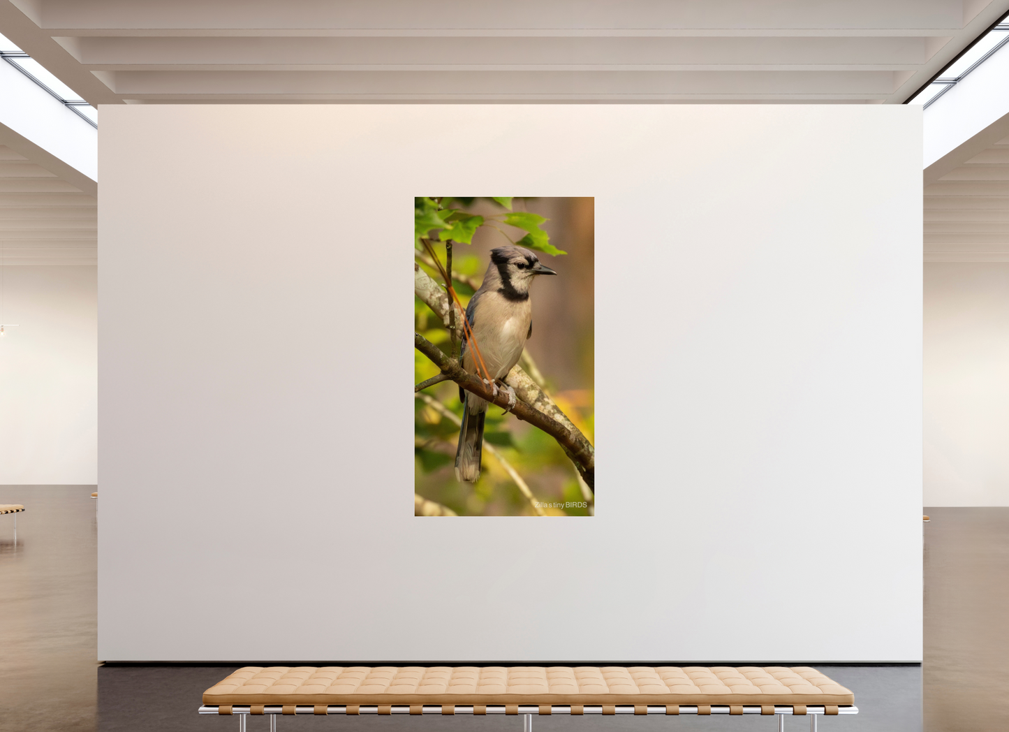 45 x 80″, Photo Print Under Acrylic Glass Zillas Zoom Image 491