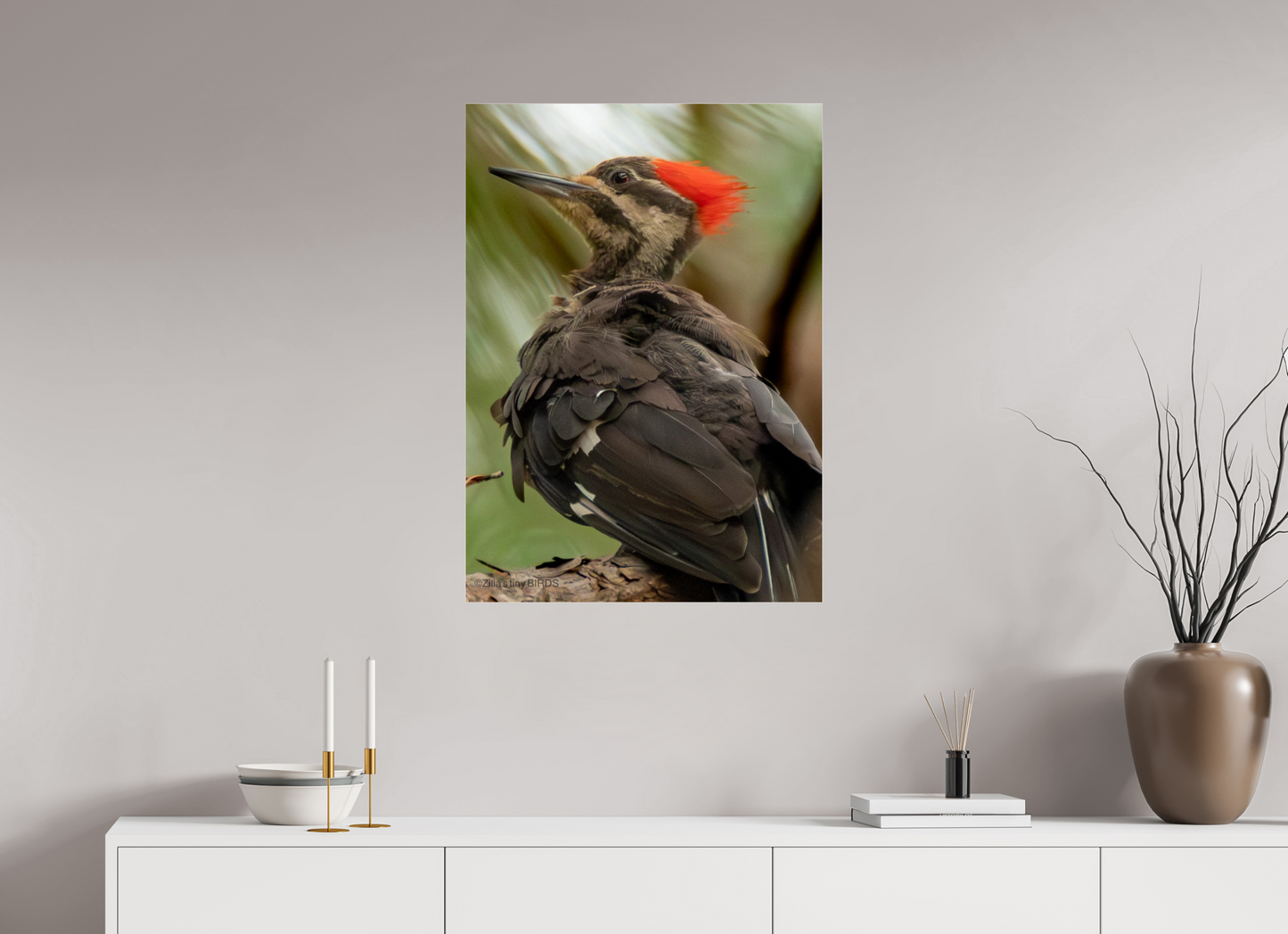 24 x 33.6″, Photo Print Under Acrylic Glass Zillas Zoom Image 443
