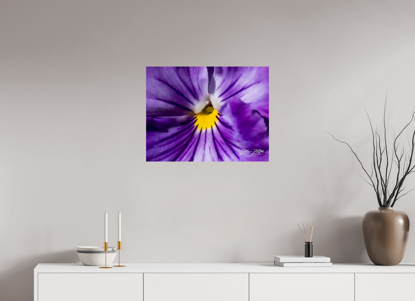 25.9 x 20″, Photo Print On Fuji Crystal DP II Zillas Zoom Image 105