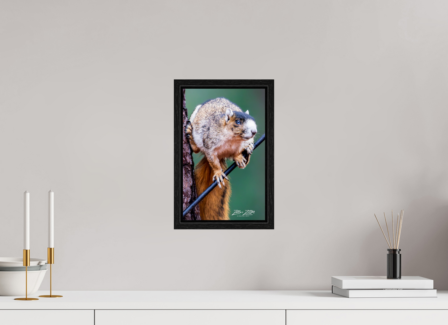 8 x 12.8″, Floater Frame Zillas zoom image 153