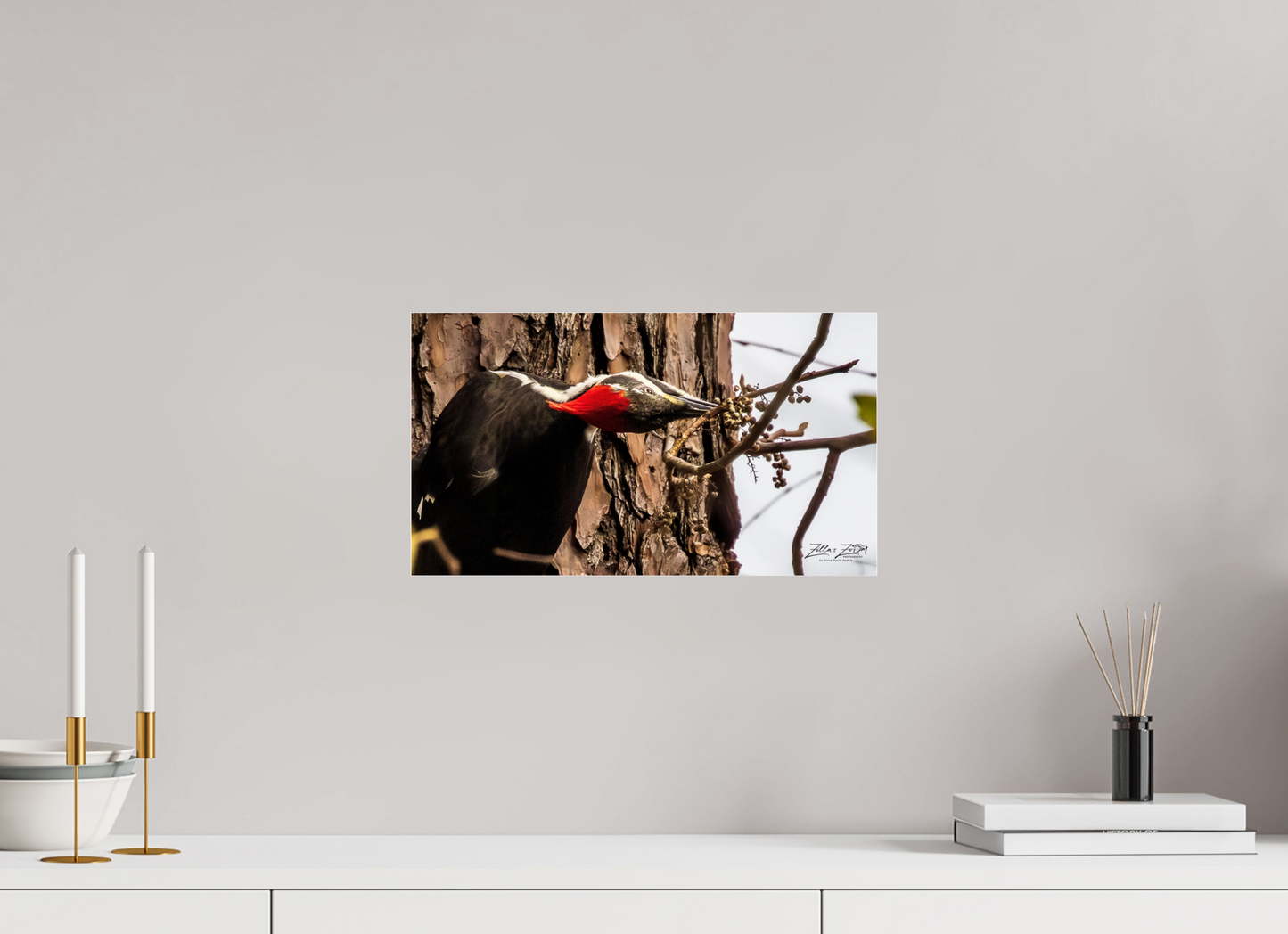 16 x 9″, Photo Print Under Acrylic Glass Zillas Zoom Image 283