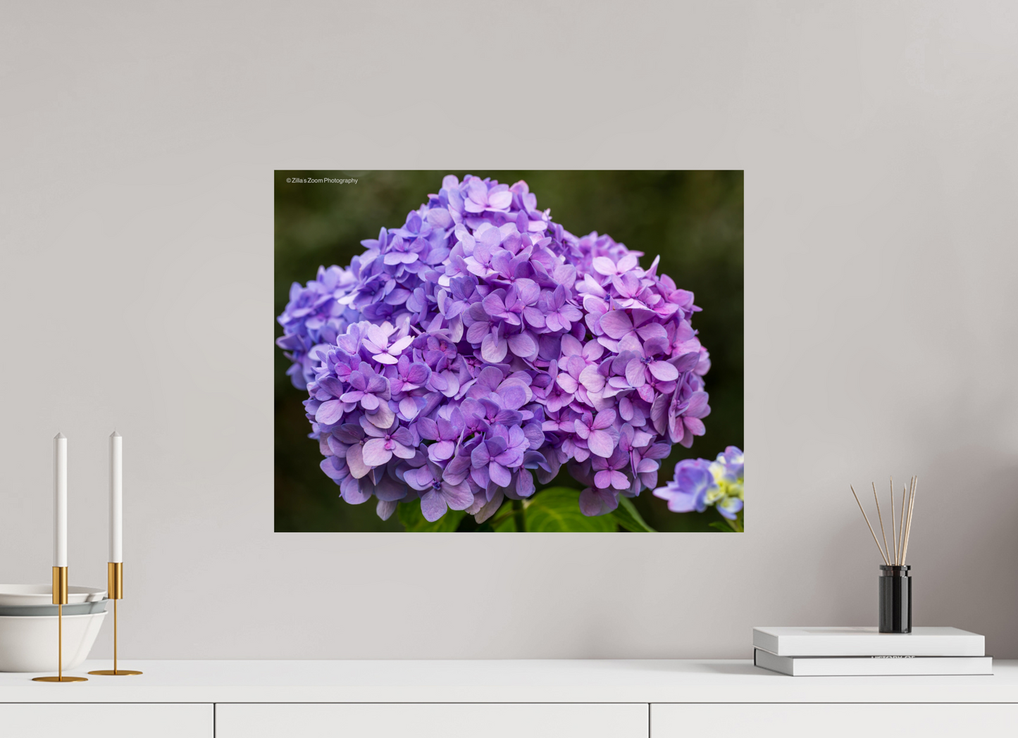 20.7 x 16″, Photo Print On Fuji Crystal DP II Zillas Zoom Image 95