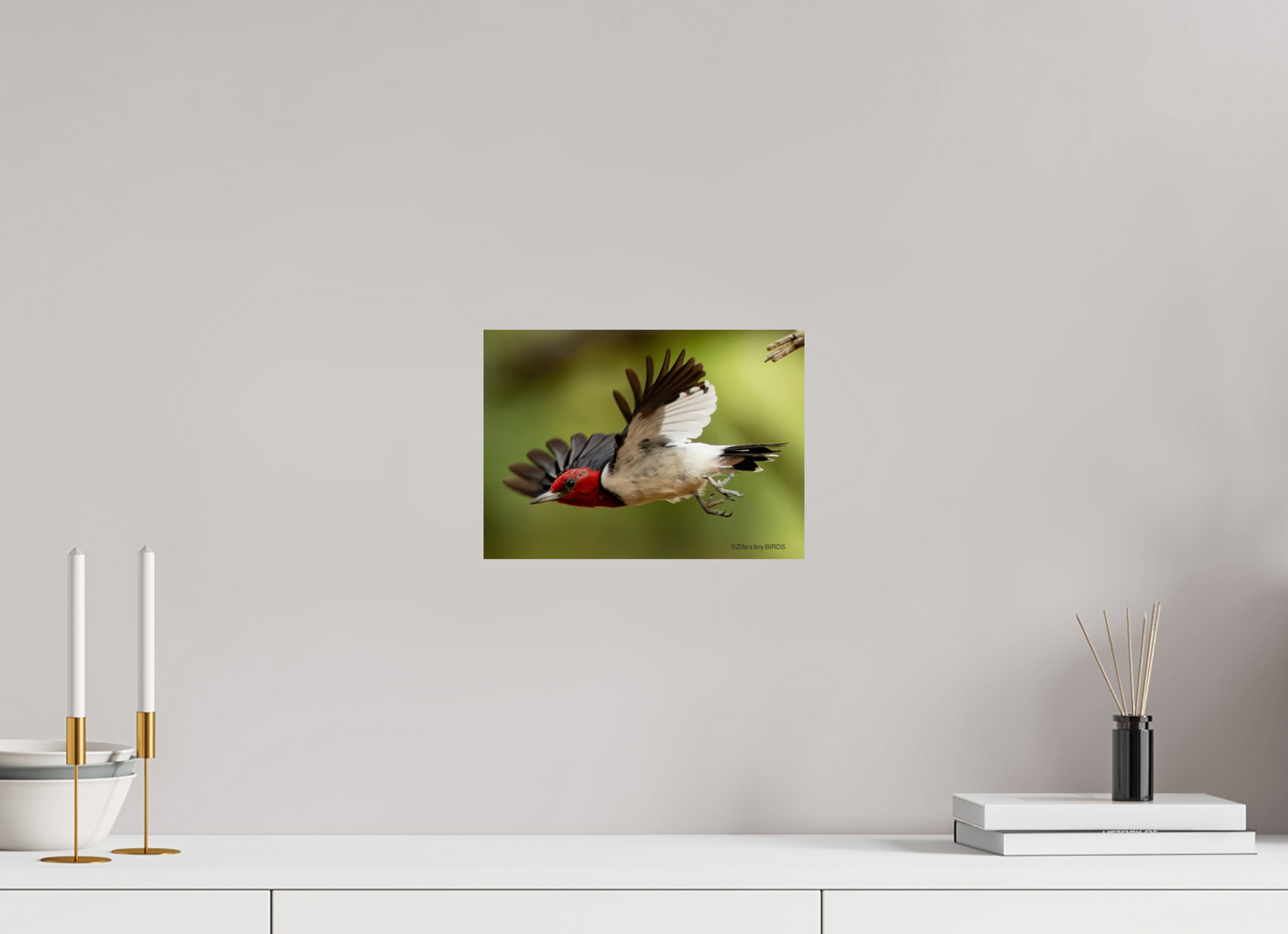 11.2 x 8″, Photo Print On Fuji Crystal DP II Zillas Zoom Image 274