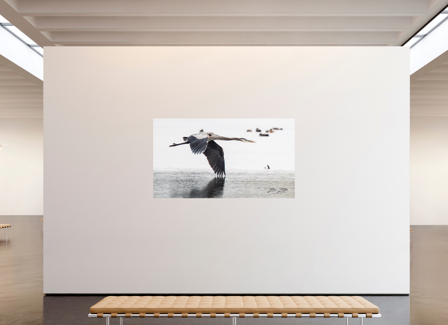 80 x 45″, Photo Print On Fuji Crystal DP II Zillas Zoom Image 318