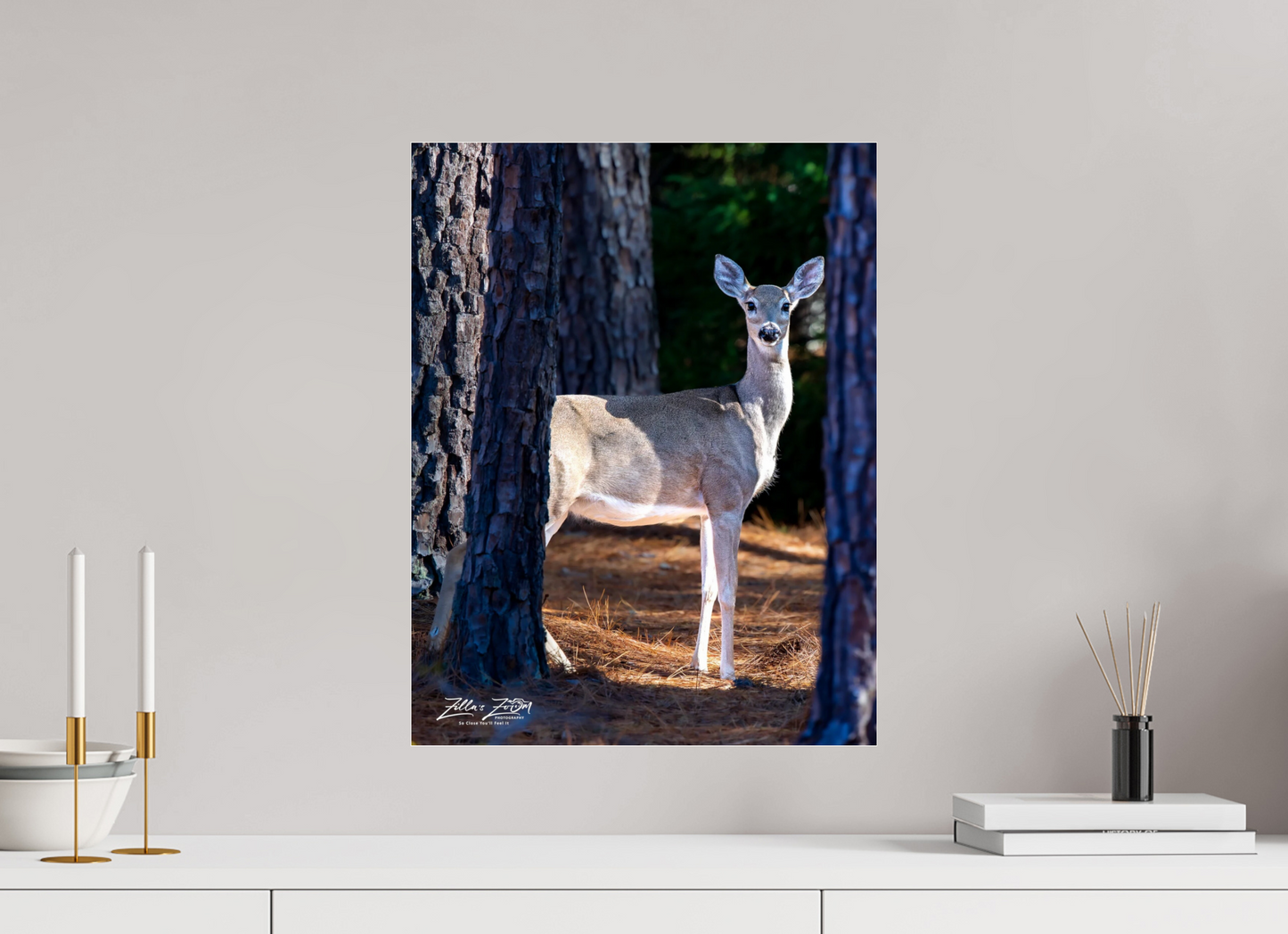16 x 20.7″, Photo Print Under Acrylic Glass Zillas zoom image 154