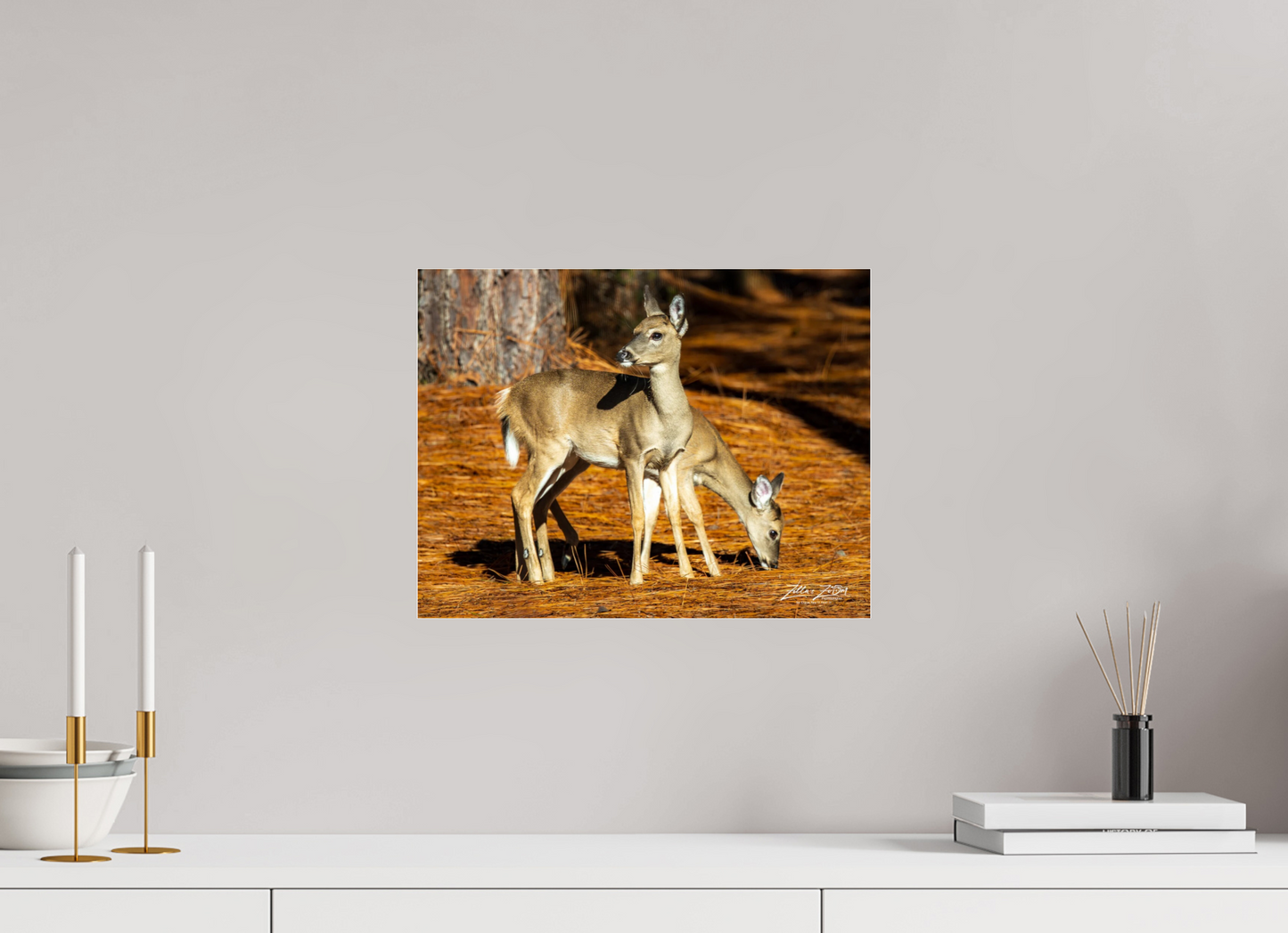 15.6 x 12″, Photo Print Under Acrylic Glass Zillas zoom image 144