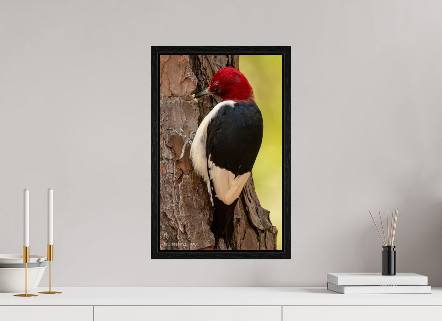 12 x 19.2″, Floater Frame Zillas Zoom Image 461