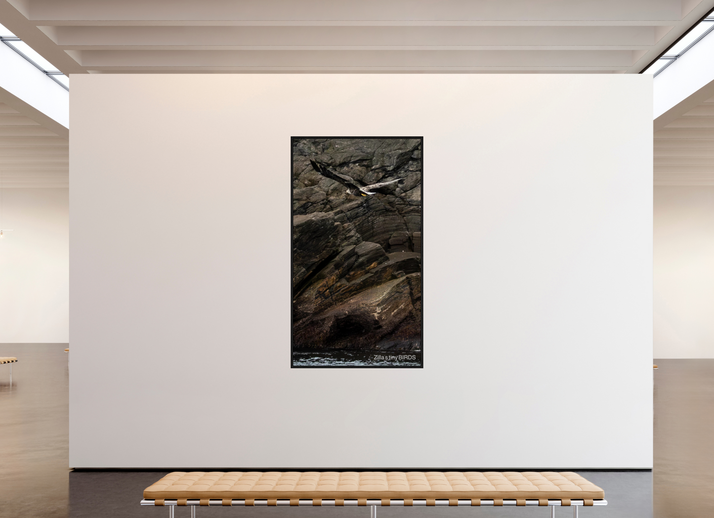 45 x 80″, Floater Frame Zillas Zoom Image 244