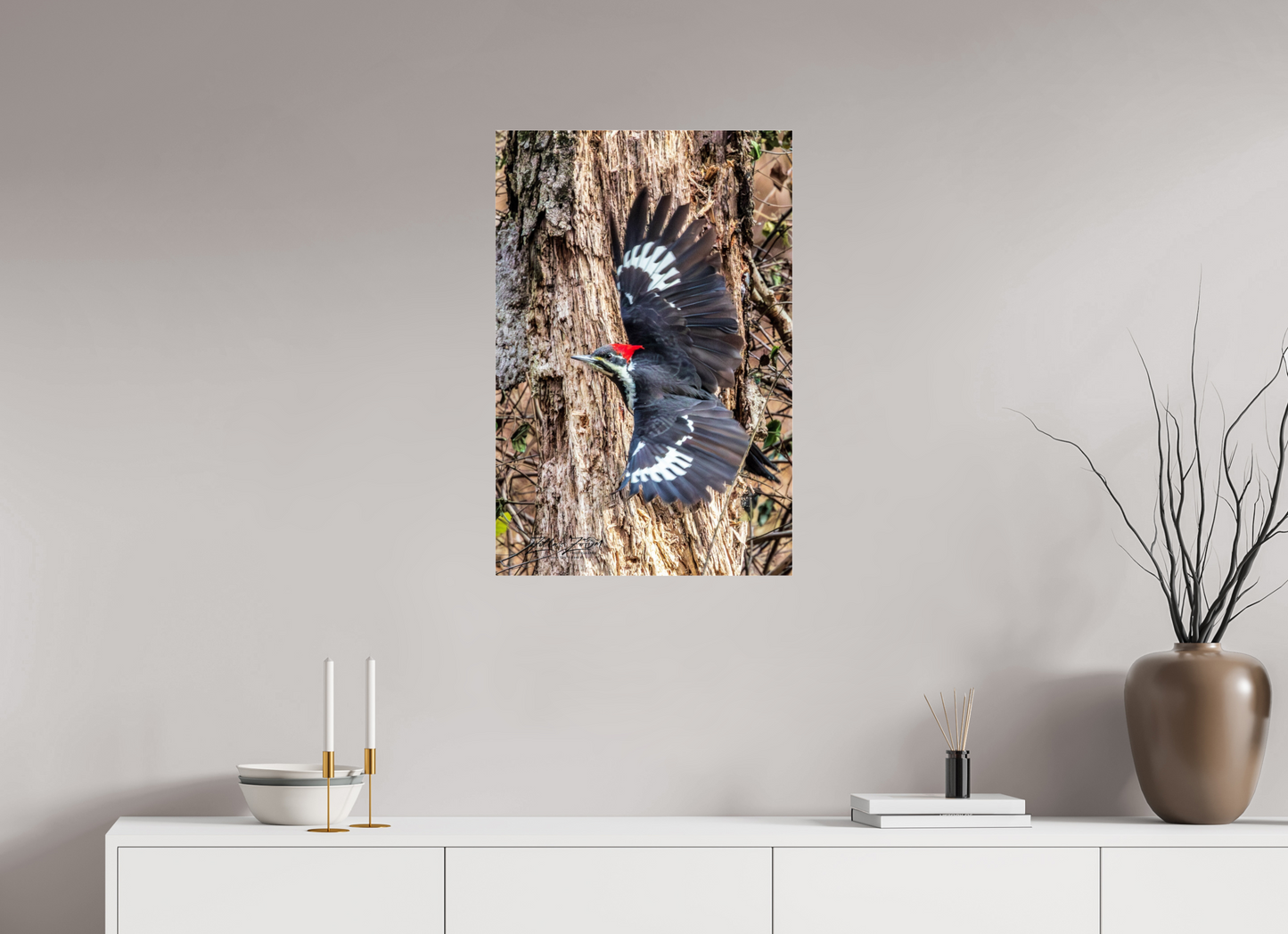 20 x 30″, Photo Print Under Acrylic Glass Zillas Zoom Image 418