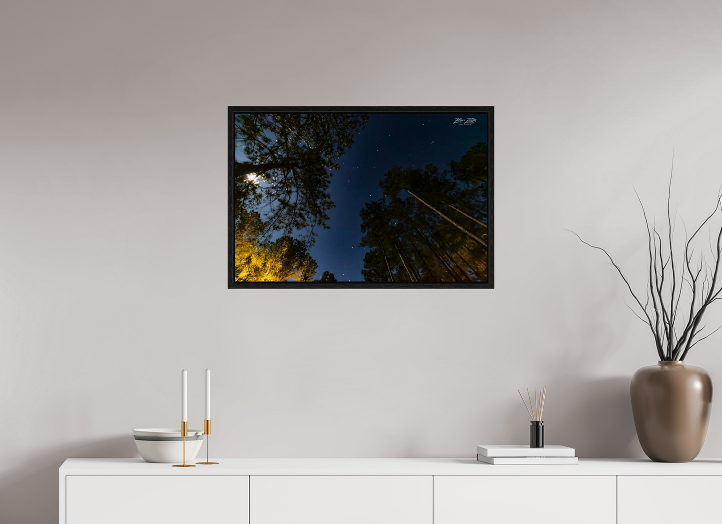 30 x 20″, Floater Frame Zillas zoom image 119