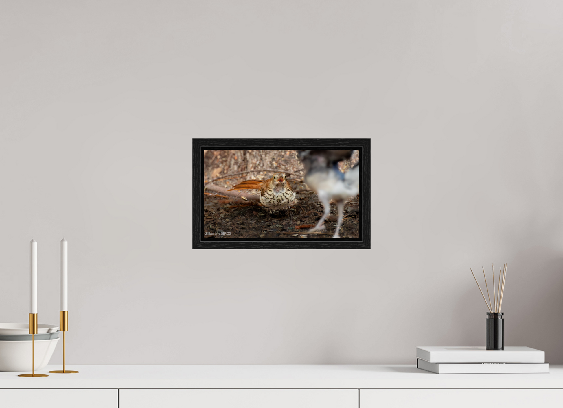 12 x 6.8″, Floater Frame Zillas Zoom Image 383