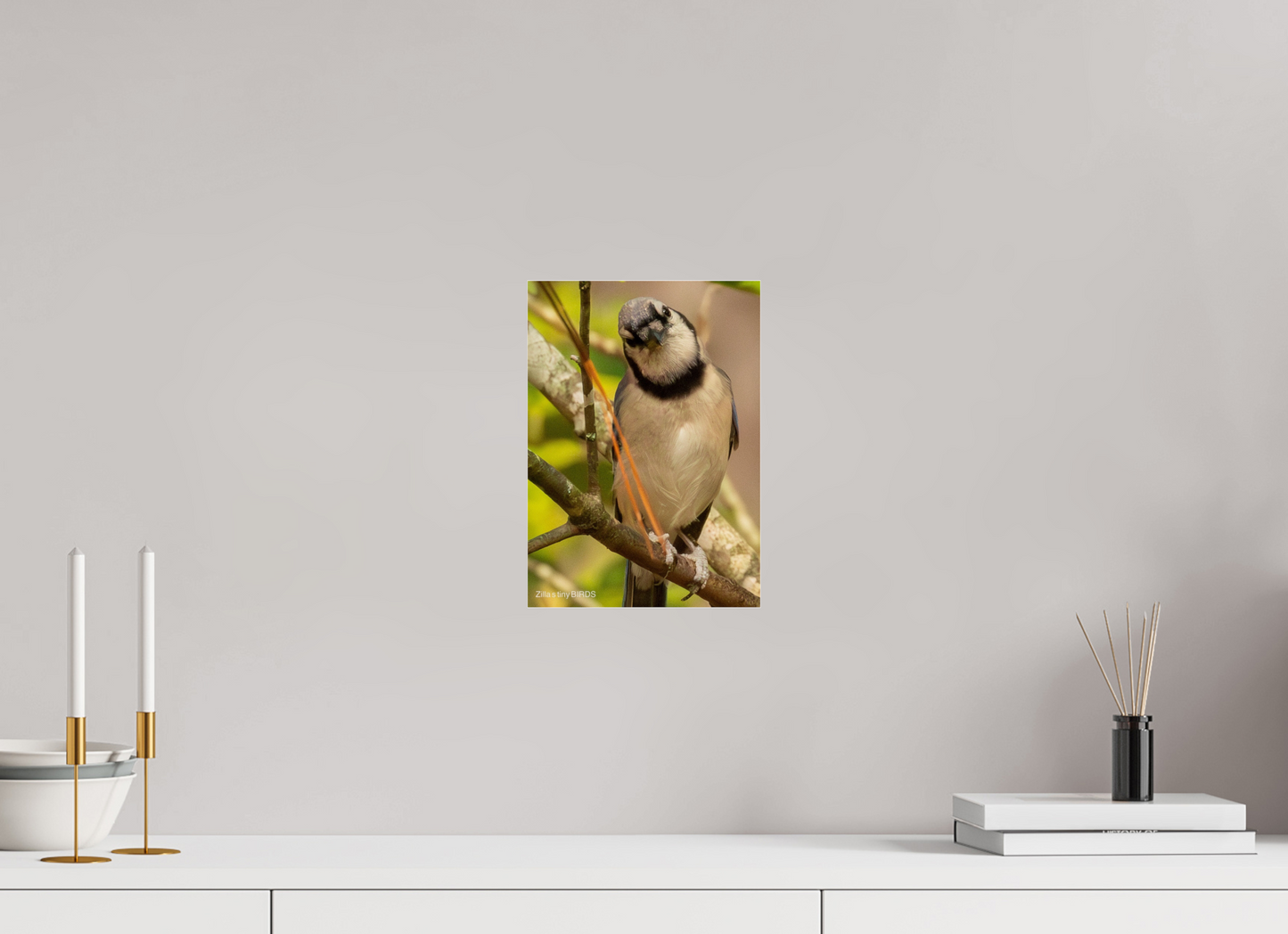 8 x 11.2″, Photo Print Under Acrylic Glass Zillas Zoom Image 505