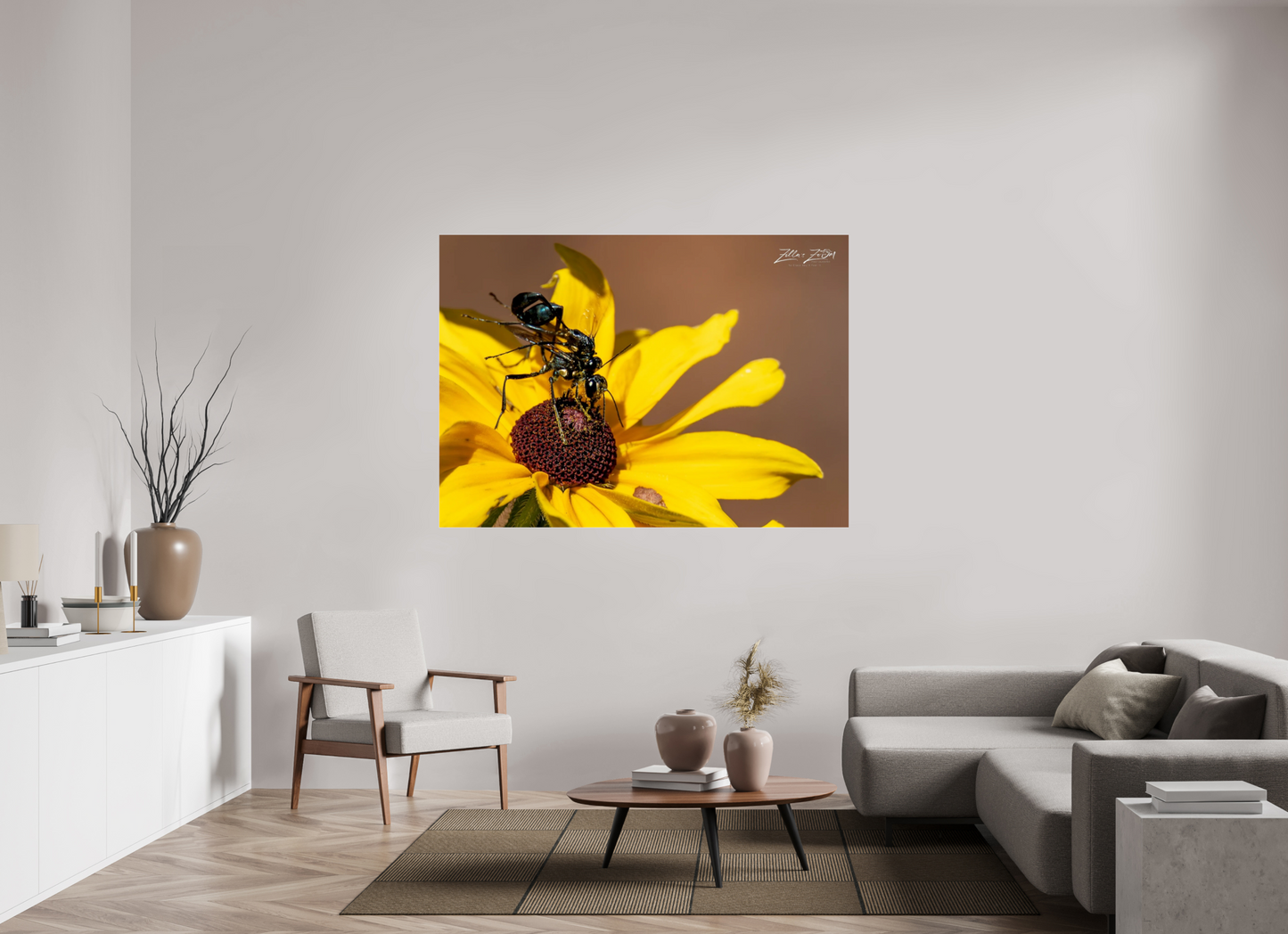 65.8 x 47″, Photo Print Under Acrylic Glass Zillas Zoom Image 104