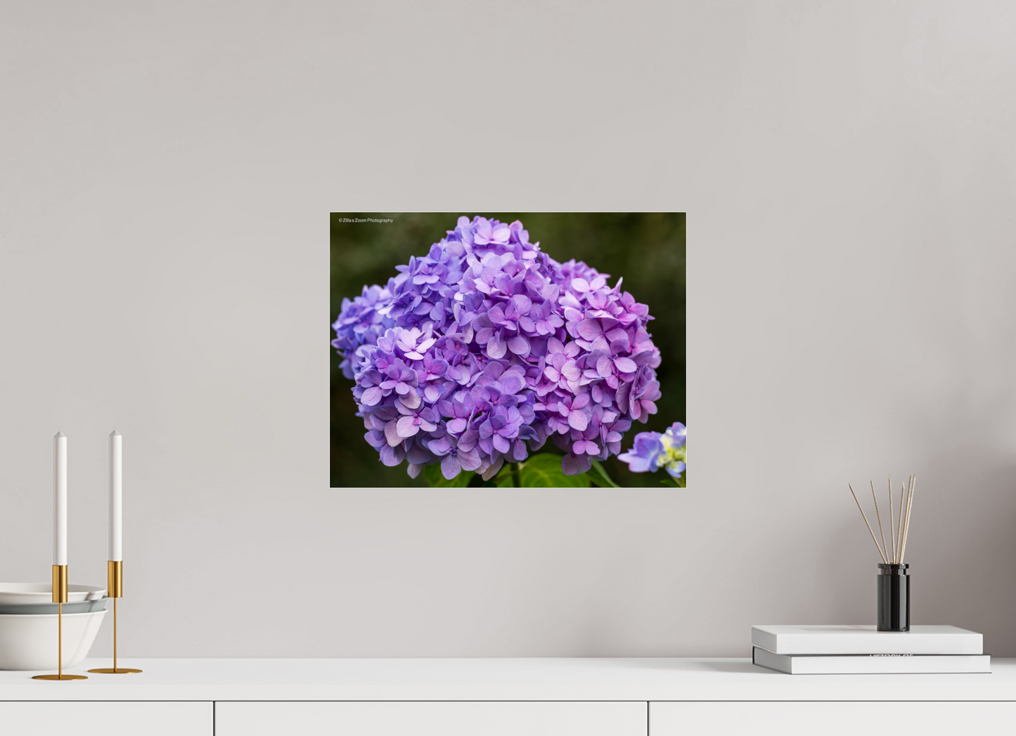 15.5 x 12″, Photo Print Under Acrylic Glass Zillas Zoom Image 95