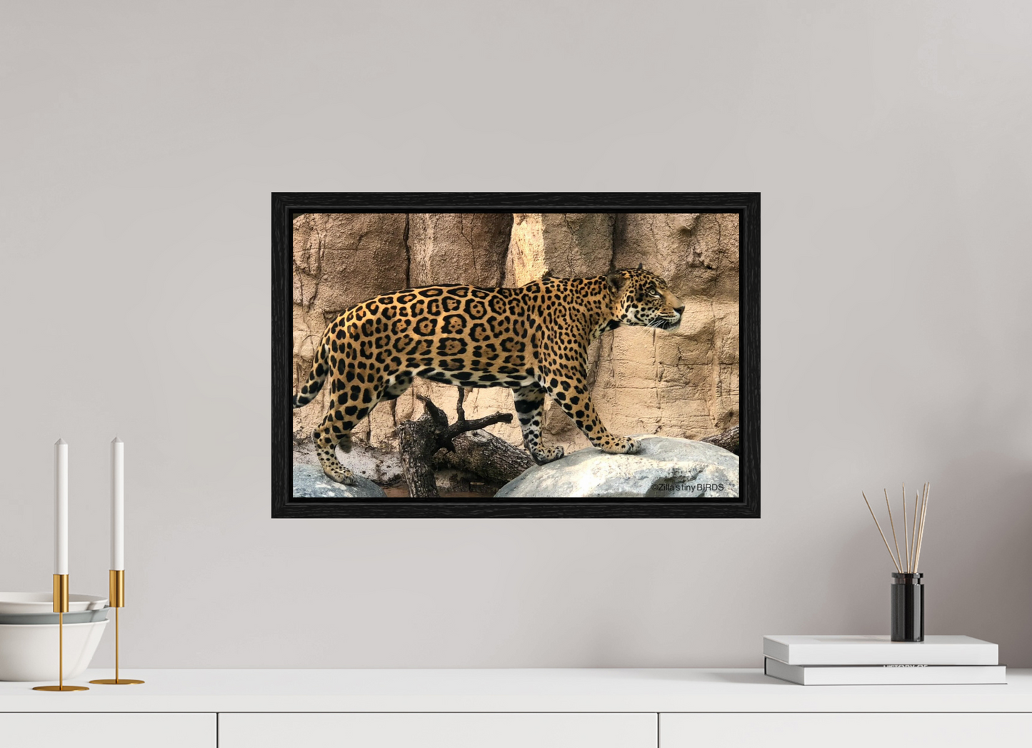 18.9 x 12″, Floater Frame Zillas zoom image 139