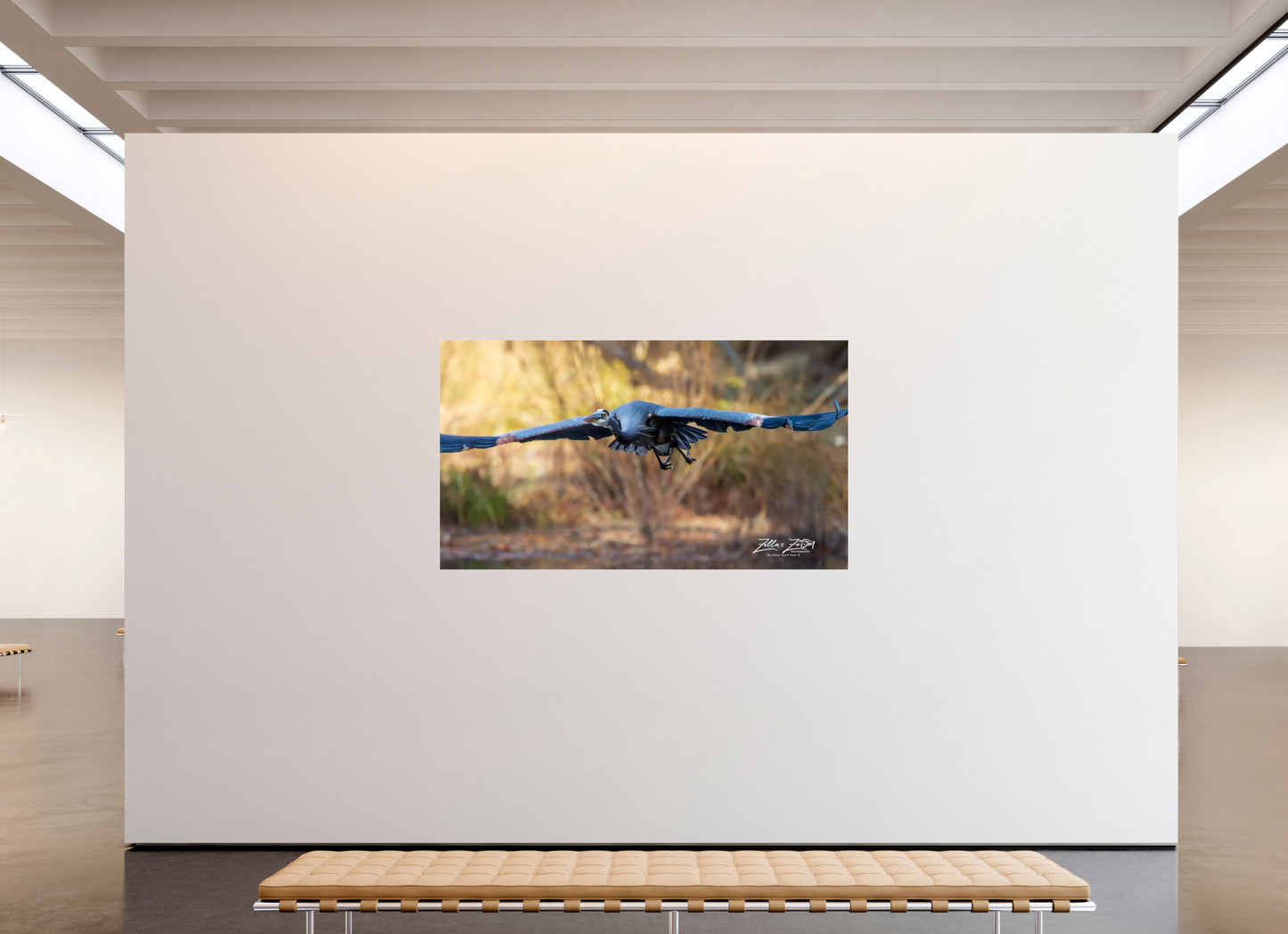 80 x 45″, Photo Print Under Acrylic Glass Zillas Zoom Image 296