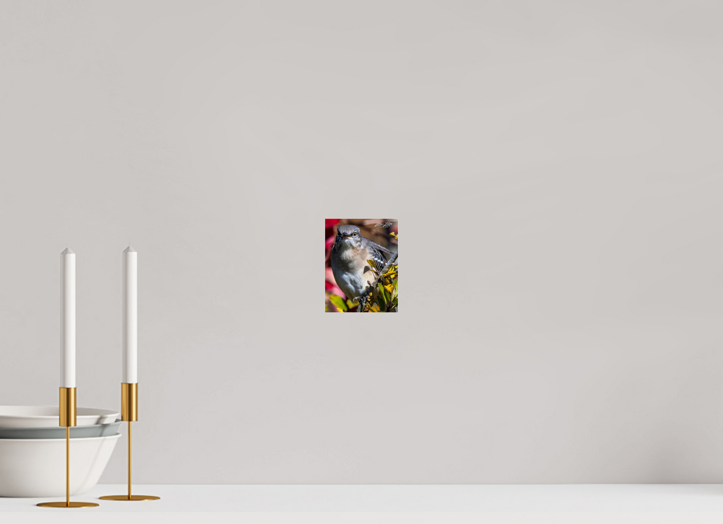 4 x 5.2″, Photo Print Under Acrylic Glass Zillas Zoom Image 402