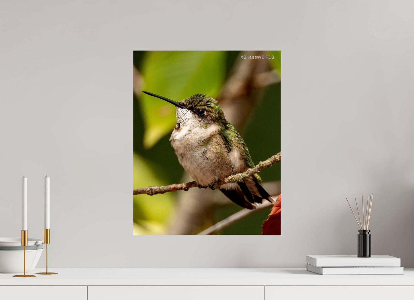 16 x 20″, Photo Print On Fuji Crystal DP II Zillas Zoom Image 515