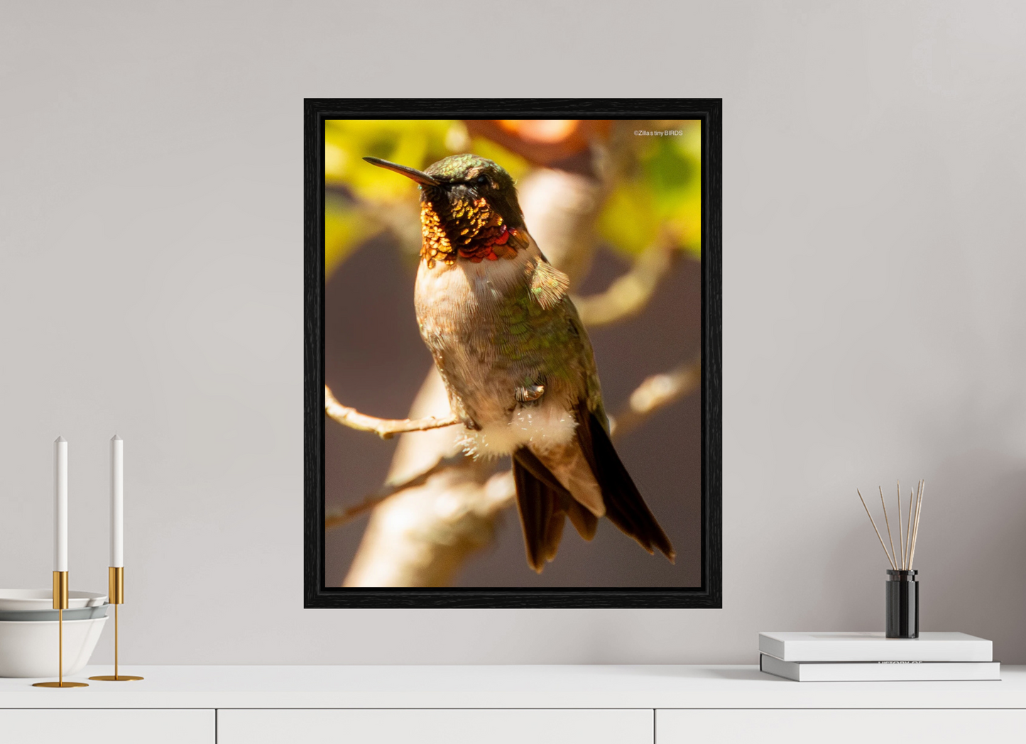 16 x 19.9″, Floater Frame Zillas Zoom Image 339