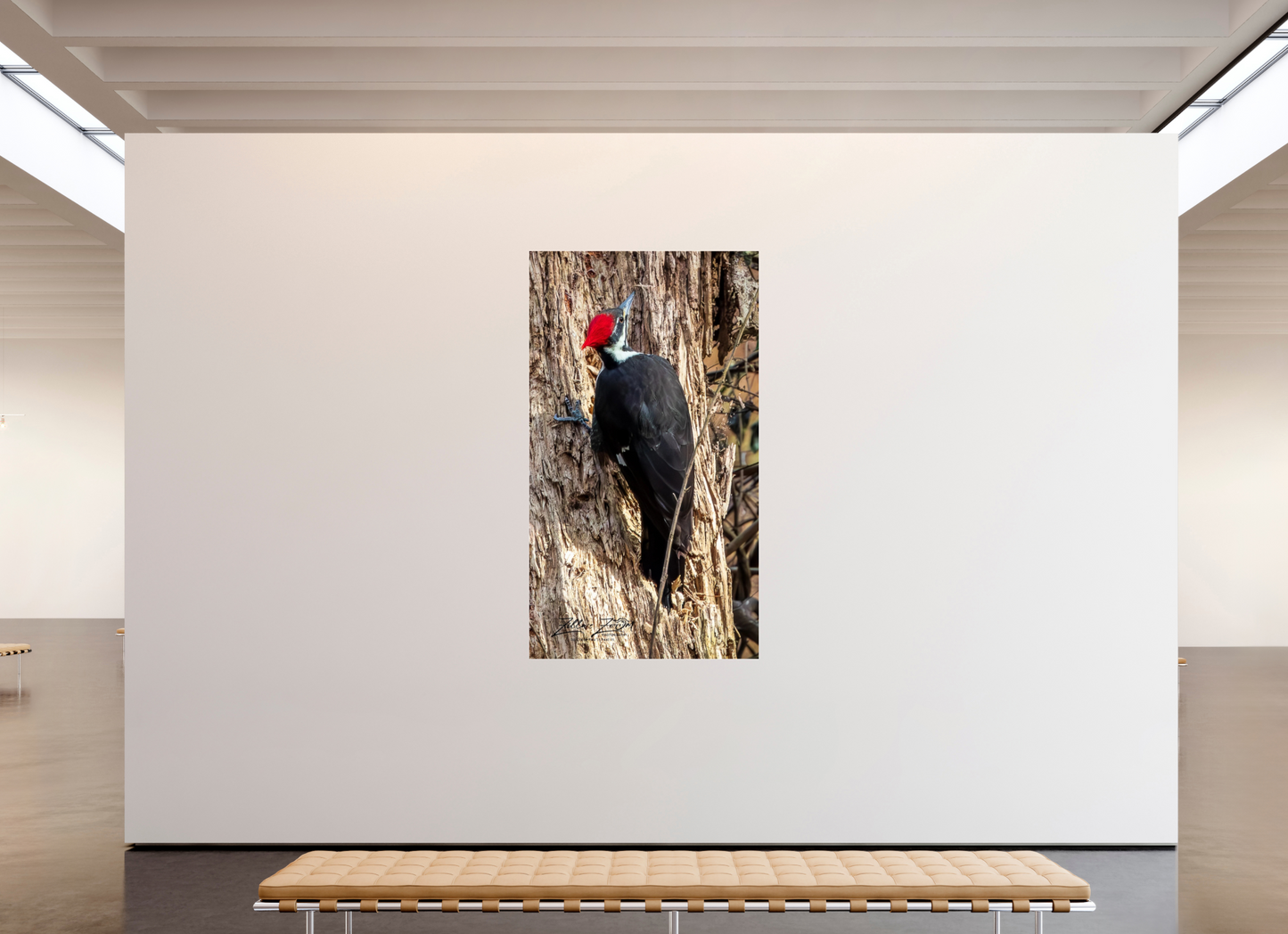 45 x 80″, Photo Print Under Acrylic Glass Zillas Zoom Image 425
