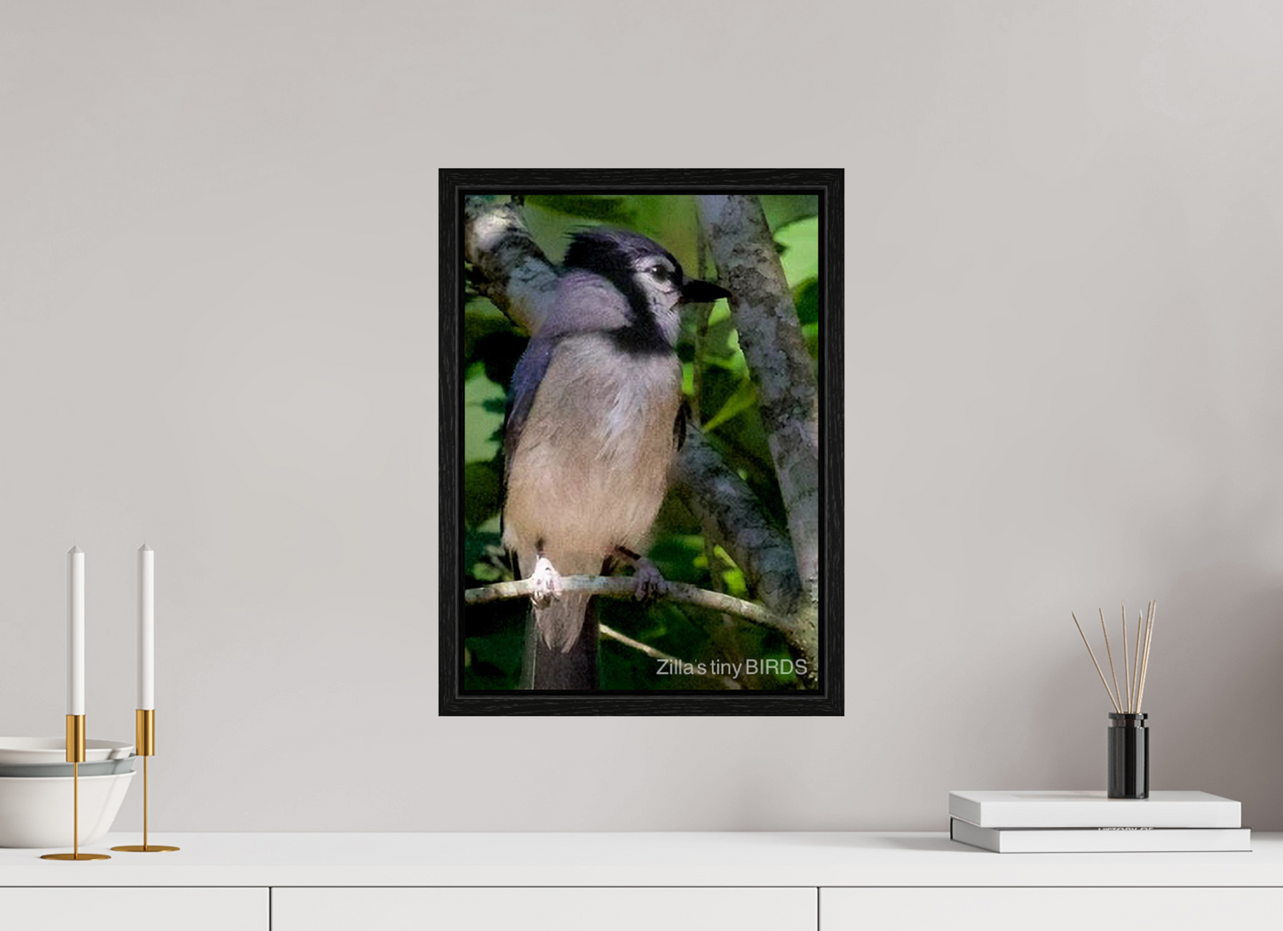 12 x 16.8″, Floater Frame Zillas Zoom Image 470