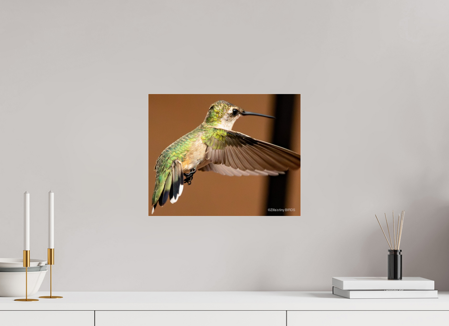 15 x 12″, Photo Print Under Acrylic Glass Zillas Zoom Image 336