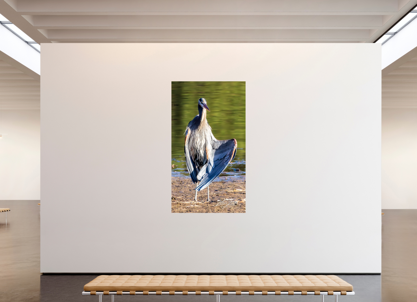 45 x 80″, Photo Print On Fuji Crystal DP II Zillas Zoom Image 411